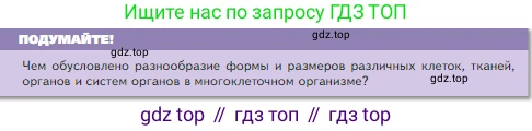 Биология, 5 класс Учебник, авторы: Пасечник Владимир Васильевич, Суматохин Сергей Витальевич, Гапонюк Зоя Георгиевна, Швецов Глеб Геннадьевич, издательство Просвещение, Москва, 2023, белого цвета, страница 58, Условие