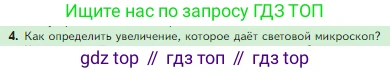 Биология, 5 класс Учебник, авторы: Пасечник Владимир Васильевич, Суматохин Сергей Витальевич, Гапонюк Зоя Георгиевна, Швецов Глеб Геннадьевич, издательство Просвещение, Москва, 2023, белого цвета, страница 62, номер 4, Условие
