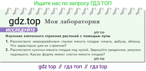 Биология, 5 класс Учебник, авторы: Пасечник Владимир Васильевич, Суматохин Сергей Витальевич, Гапонюк Зоя Георгиевна, Швецов Глеб Геннадьевич, издательство Просвещение, Москва, 2023, белого цвета, страница 62, Условие