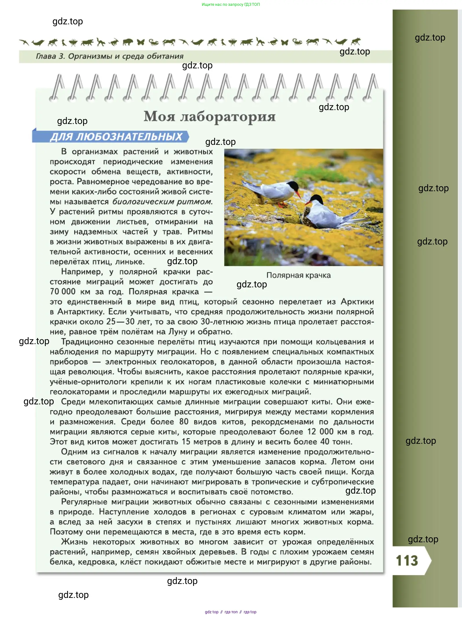Биология, 5 класс Учебник, авторы: Пасечник Владимир Васильевич, Суматохин Сергей Витальевич, Гапонюк Зоя Георгиевна, Швецов Глеб Геннадьевич, издательство Просвещение, Москва, 2023, белого цвета, страница 113