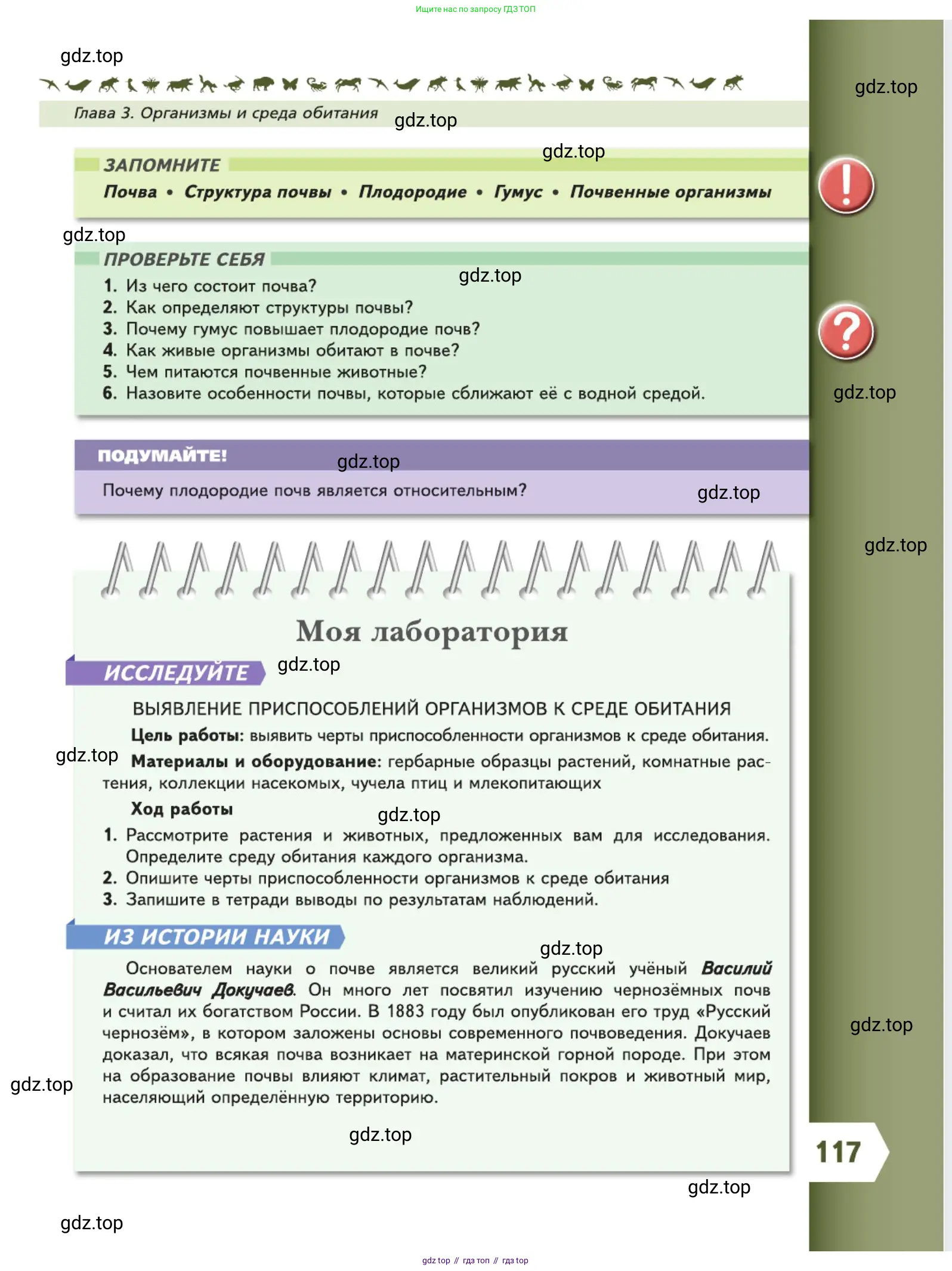 Биология, 5 класс Учебник, авторы: Пасечник Владимир Васильевич, Суматохин Сергей Витальевич, Гапонюк Зоя Георгиевна, Швецов Глеб Геннадьевич, издательство Просвещение, Москва, 2023, белого цвета, страница 117