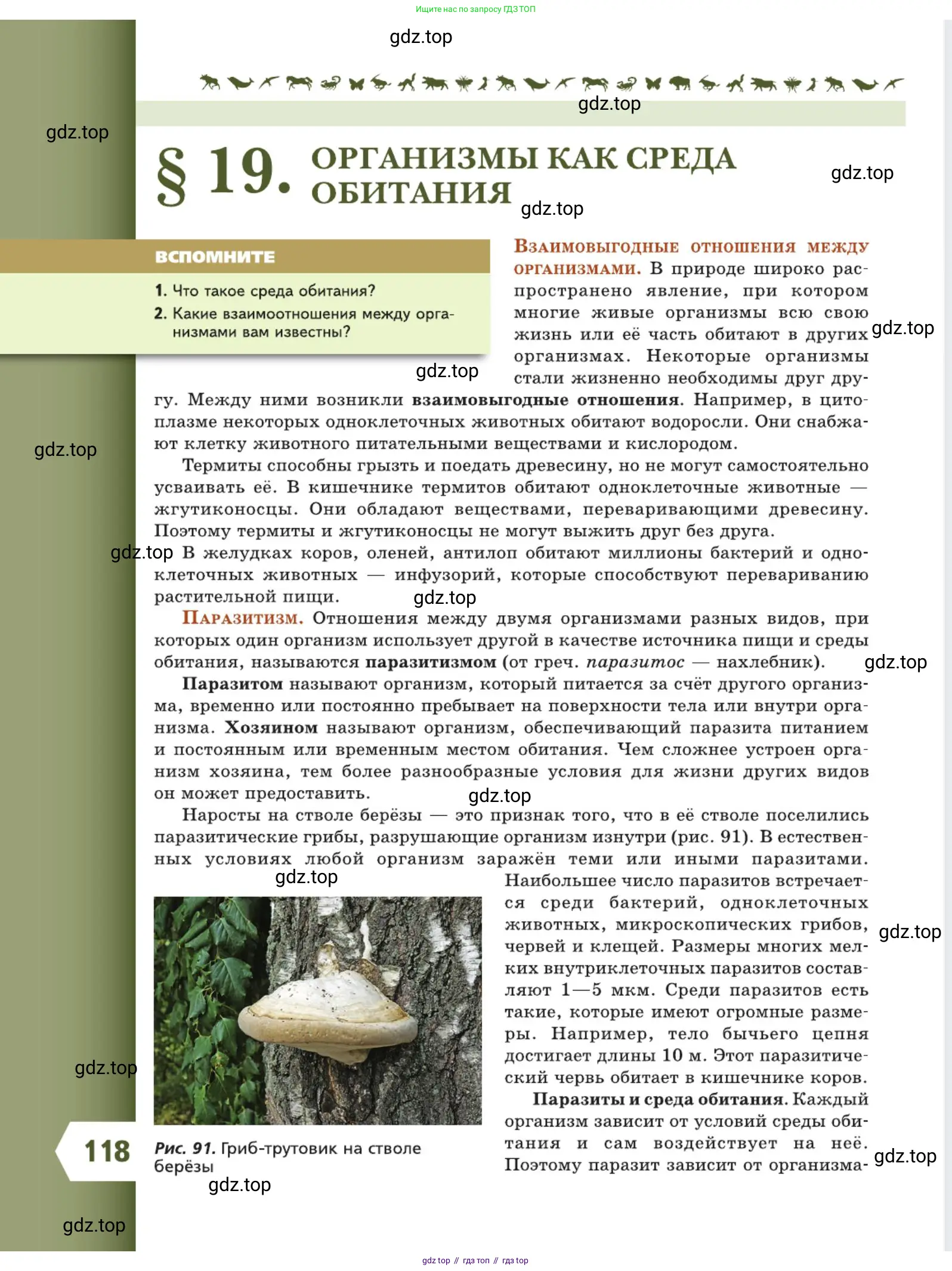 Биология, 5 класс Учебник, авторы: Пасечник Владимир Васильевич, Суматохин Сергей Витальевич, Гапонюк Зоя Георгиевна, Швецов Глеб Геннадьевич, издательство Просвещение, Москва, 2023, белого цвета, страница 118