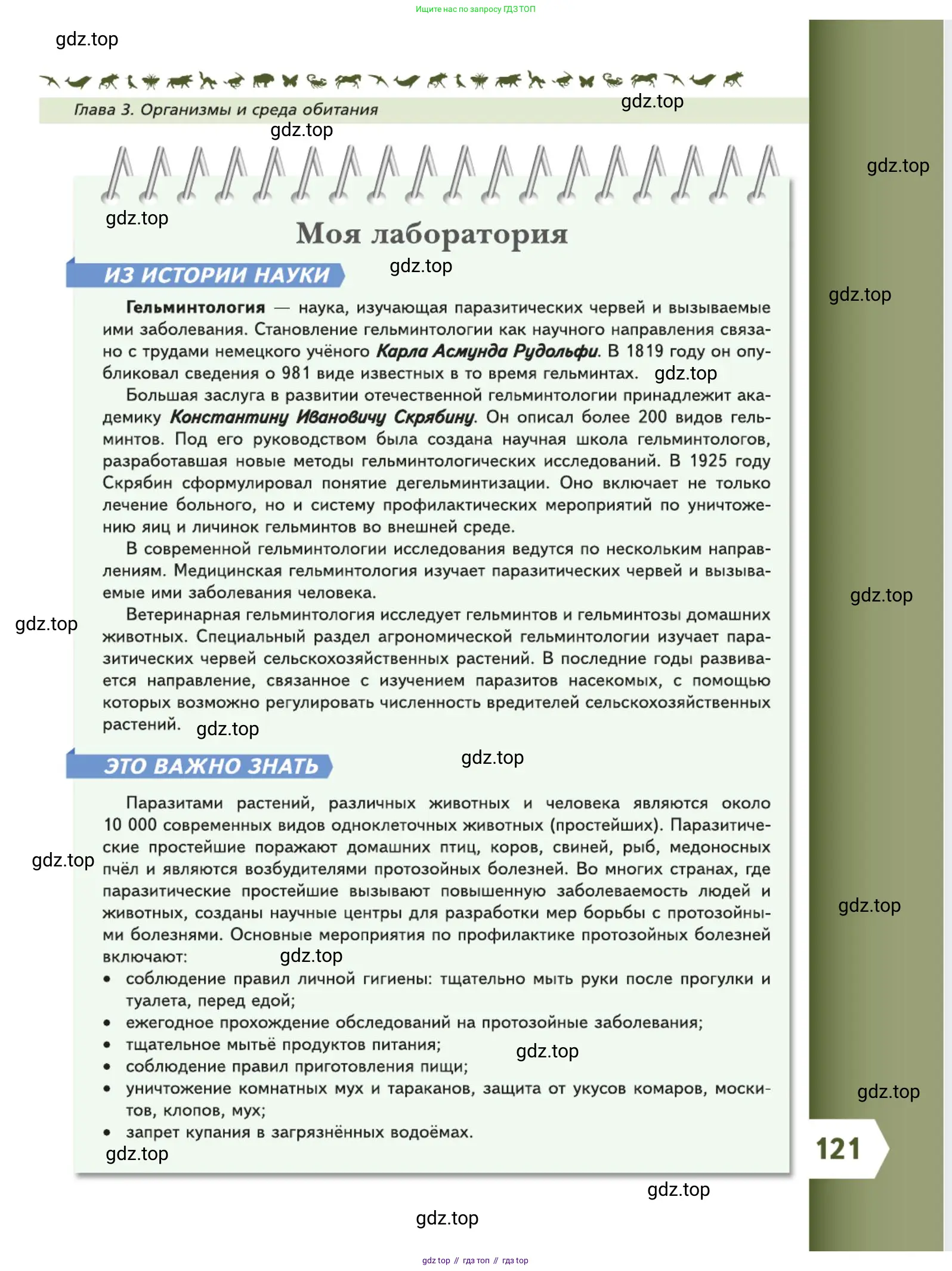 Биология, 5 класс Учебник, авторы: Пасечник Владимир Васильевич, Суматохин Сергей Витальевич, Гапонюк Зоя Георгиевна, Швецов Глеб Геннадьевич, издательство Просвещение, Москва, 2023, белого цвета, страница 121