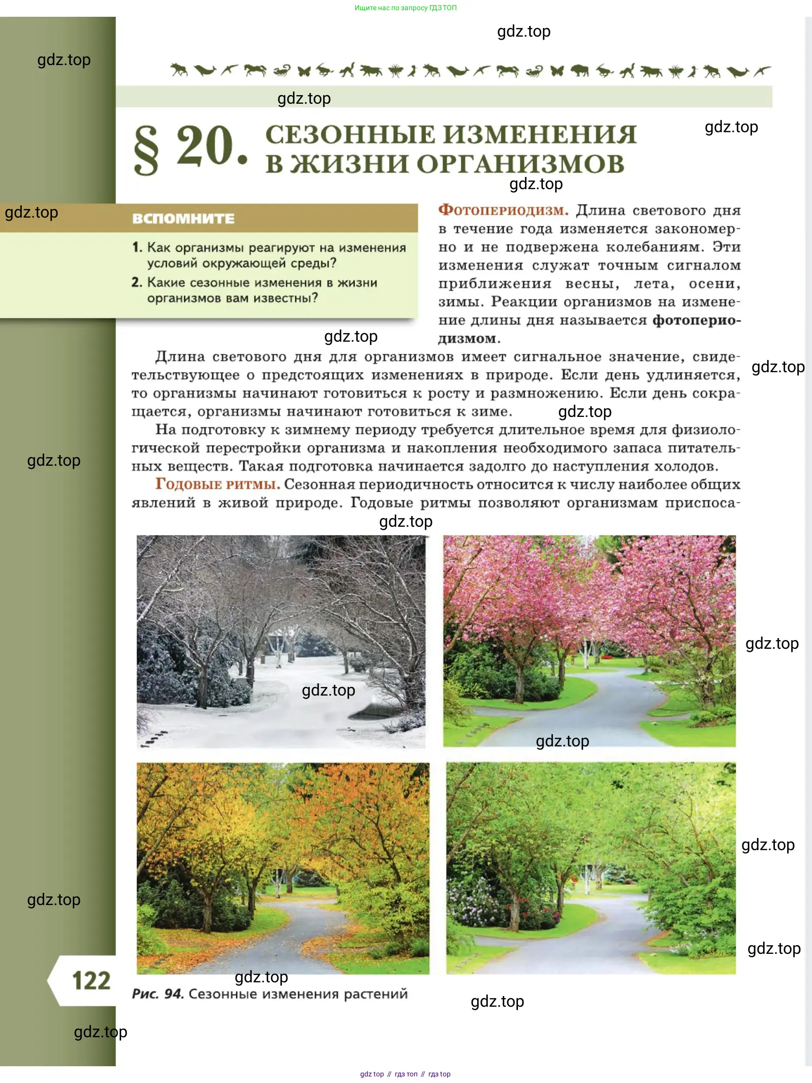 Биология, 5 класс Учебник, авторы: Пасечник Владимир Васильевич, Суматохин Сергей Витальевич, Гапонюк Зоя Георгиевна, Швецов Глеб Геннадьевич, издательство Просвещение, Москва, 2023, белого цвета, страница 122
