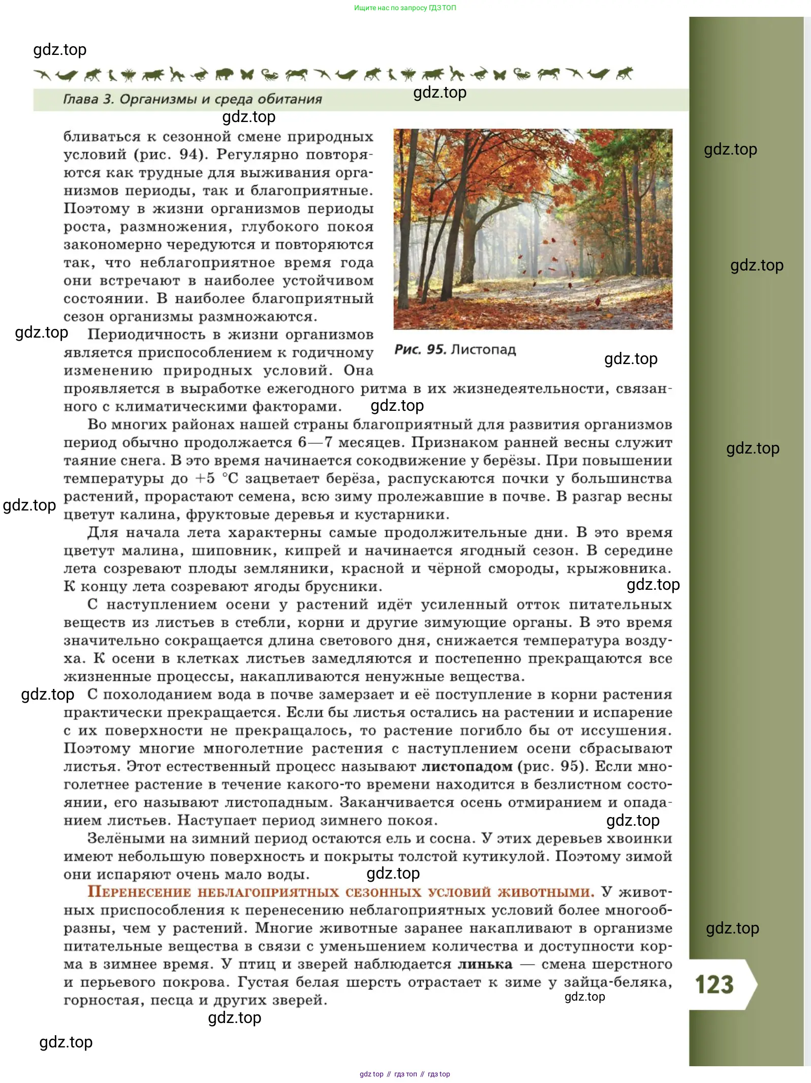 Биология, 5 класс Учебник, авторы: Пасечник Владимир Васильевич, Суматохин Сергей Витальевич, Гапонюк Зоя Георгиевна, Швецов Глеб Геннадьевич, издательство Просвещение, Москва, 2023, белого цвета, страница 123