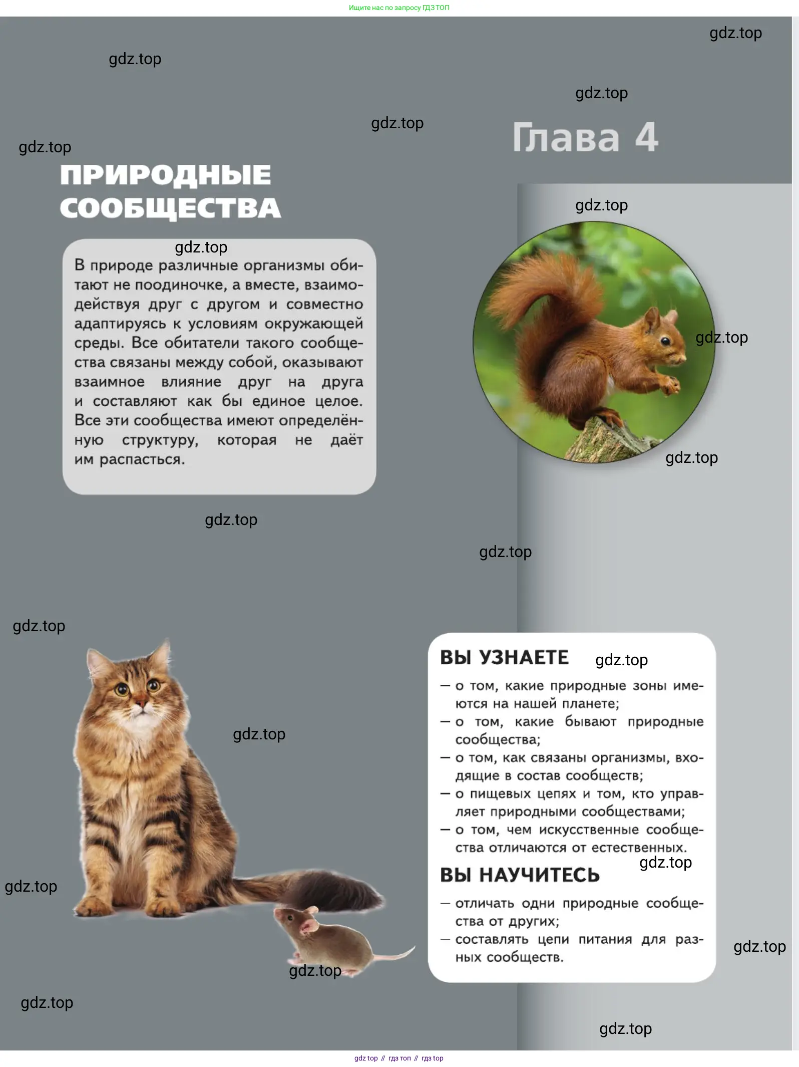 Биология, 5 класс Учебник, авторы: Пасечник Владимир Васильевич, Суматохин Сергей Витальевич, Гапонюк Зоя Георгиевна, Швецов Глеб Геннадьевич, издательство Просвещение, Москва, 2023, белого цвета, страница 125