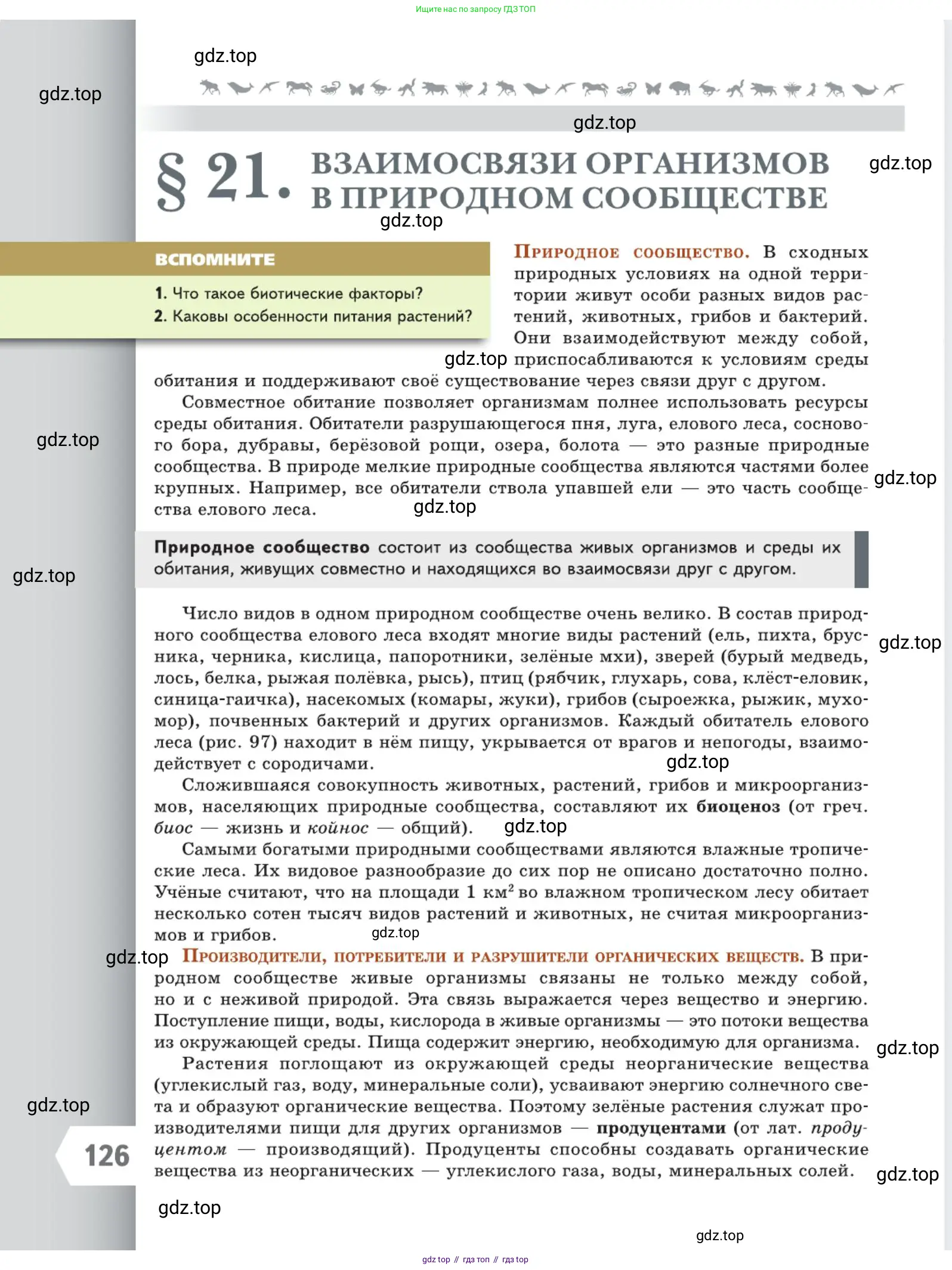 Биология, 5 класс Учебник, авторы: Пасечник Владимир Васильевич, Суматохин Сергей Витальевич, Гапонюк Зоя Георгиевна, Швецов Глеб Геннадьевич, издательство Просвещение, Москва, 2023, белого цвета, страница 126