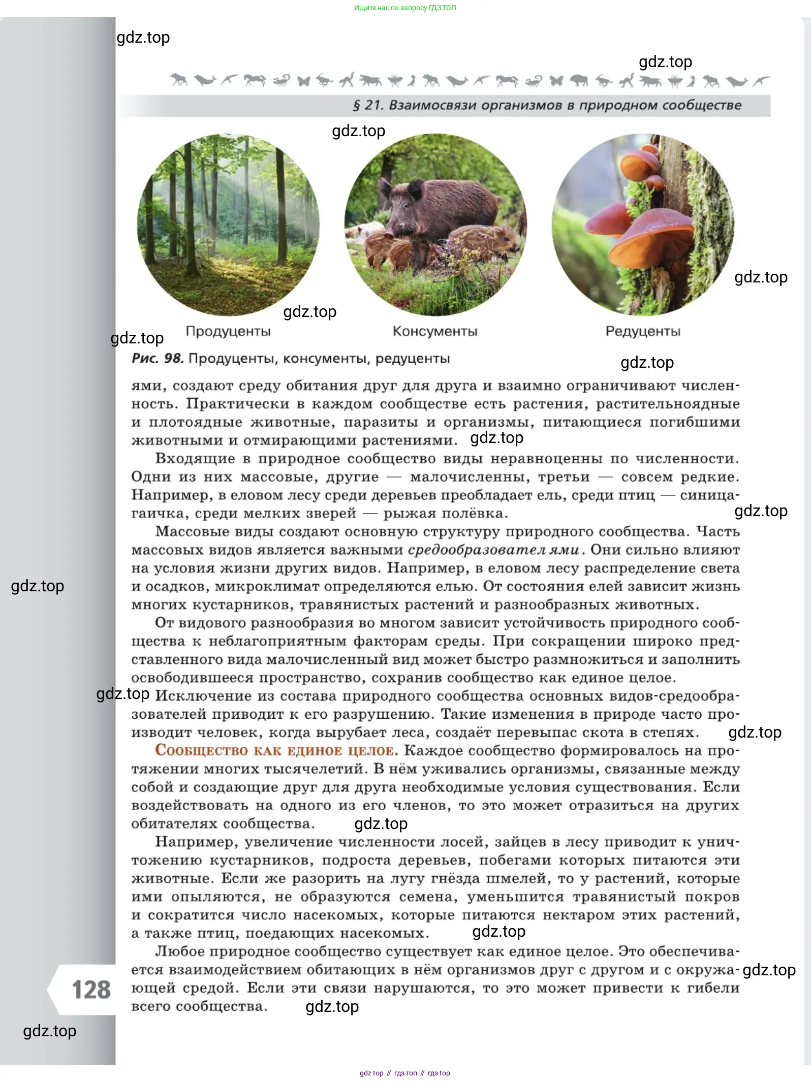Биология, 5 класс Учебник, авторы: Пасечник Владимир Васильевич, Суматохин Сергей Витальевич, Гапонюк Зоя Георгиевна, Швецов Глеб Геннадьевич, издательство Просвещение, Москва, 2023, белого цвета, страница 128