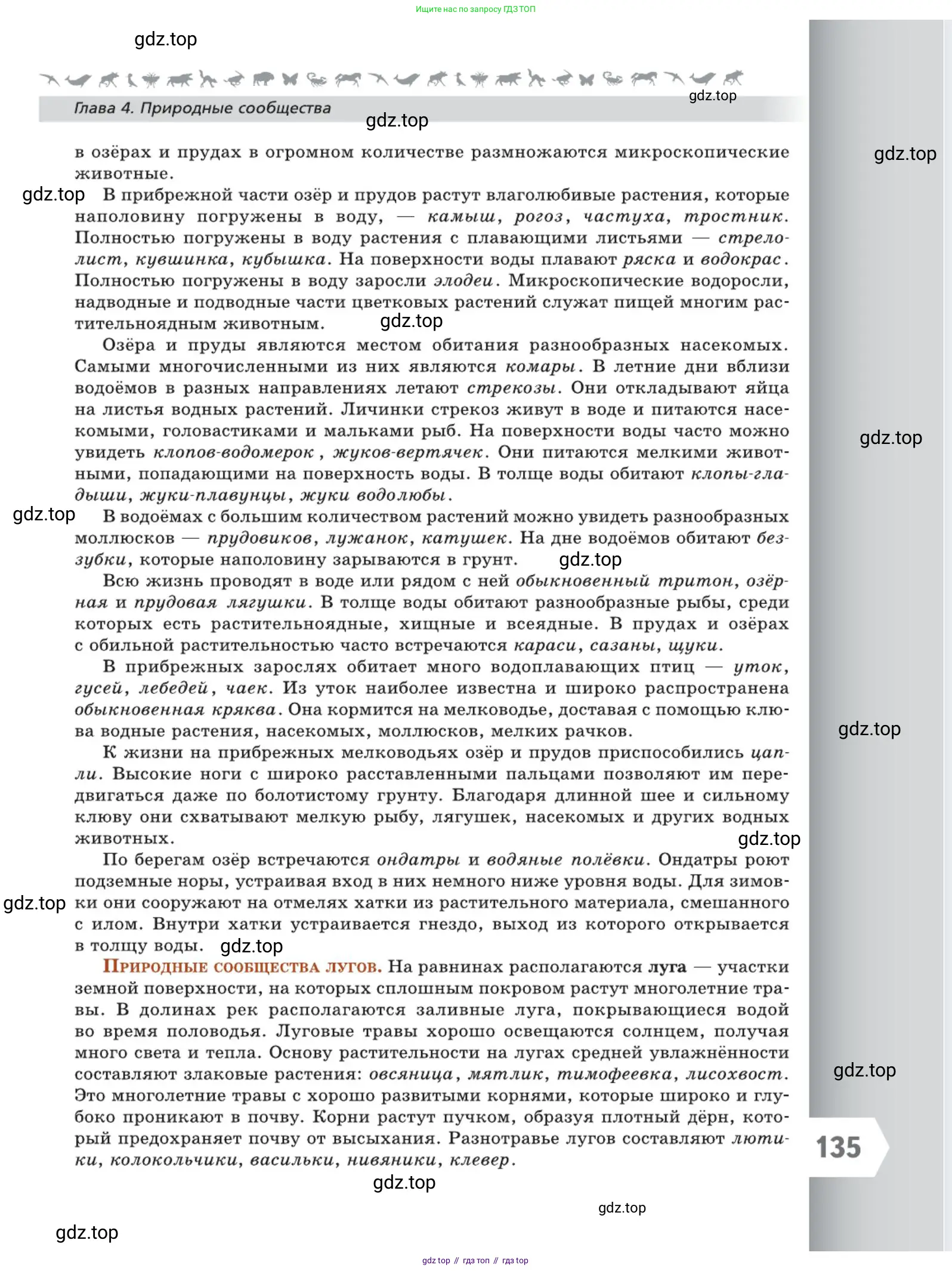 Биология, 5 класс Учебник, авторы: Пасечник Владимир Васильевич, Суматохин Сергей Витальевич, Гапонюк Зоя Георгиевна, Швецов Глеб Геннадьевич, издательство Просвещение, Москва, 2023, белого цвета, страница 135