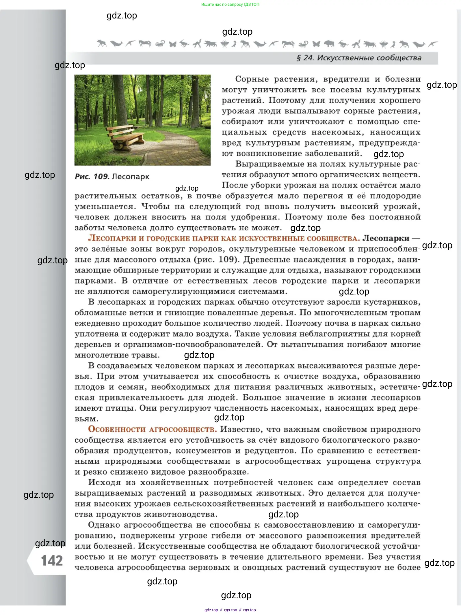 Биология, 5 класс Учебник, авторы: Пасечник Владимир Васильевич, Суматохин Сергей Витальевич, Гапонюк Зоя Георгиевна, Швецов Глеб Геннадьевич, издательство Просвещение, Москва, 2023, белого цвета, страница 142