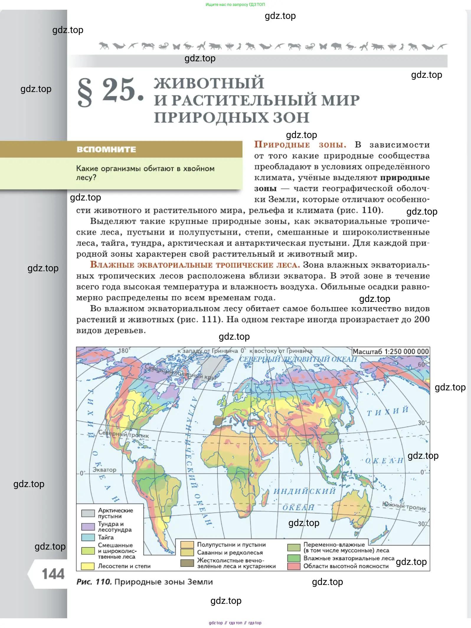 Биология, 5 класс Учебник, авторы: Пасечник Владимир Васильевич, Суматохин Сергей Витальевич, Гапонюк Зоя Георгиевна, Швецов Глеб Геннадьевич, издательство Просвещение, Москва, 2023, белого цвета, страница 144