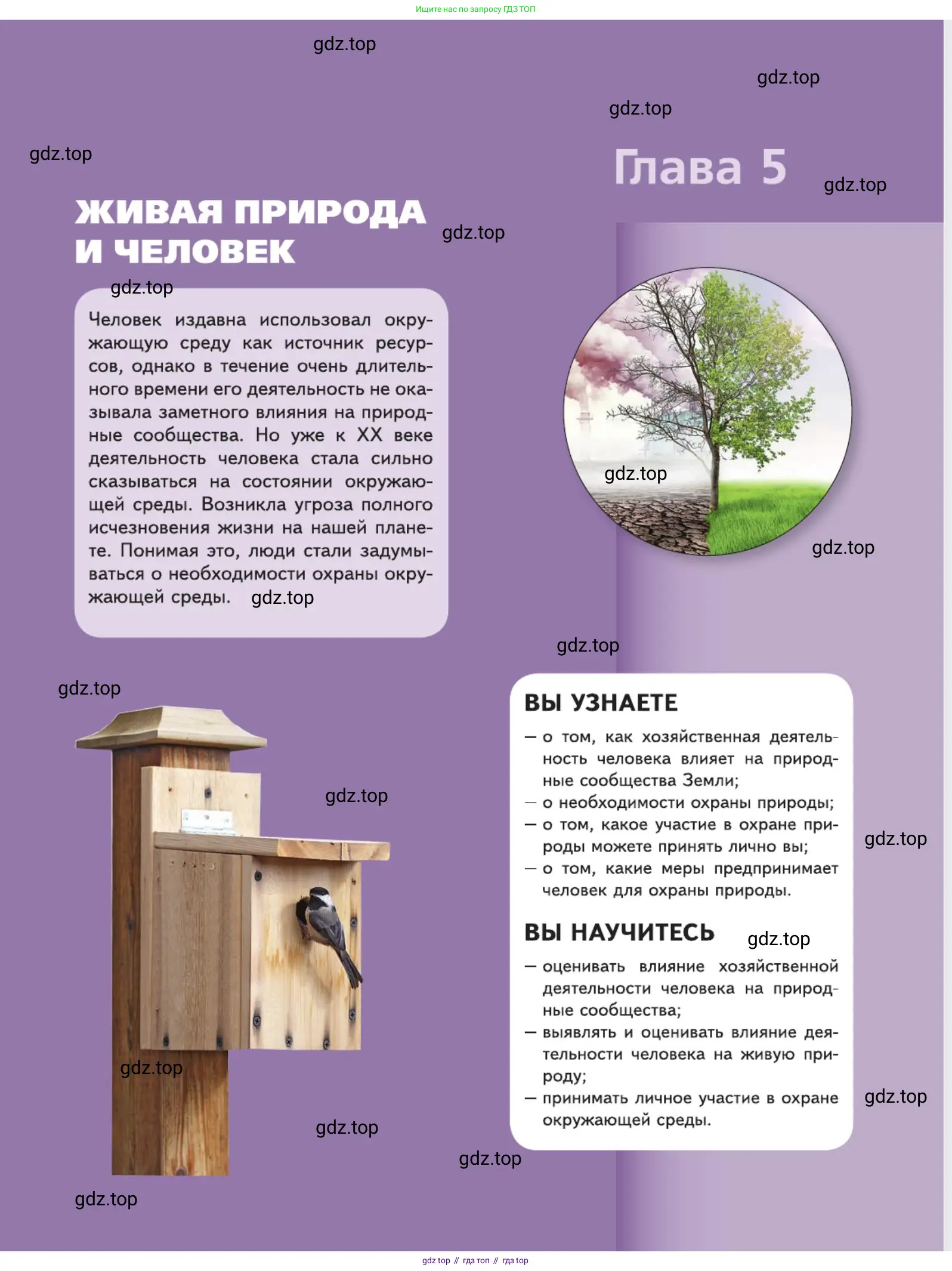 Биология, 5 класс Учебник, авторы: Пасечник Владимир Васильевич, Суматохин Сергей Витальевич, Гапонюк Зоя Георгиевна, Швецов Глеб Геннадьевич, издательство Просвещение, Москва, 2023, белого цвета, страница 149