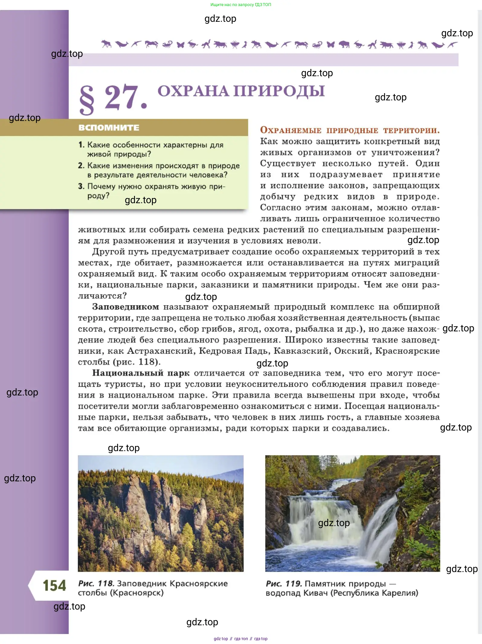 Биология, 5 класс Учебник, авторы: Пасечник Владимир Васильевич, Суматохин Сергей Витальевич, Гапонюк Зоя Георгиевна, Швецов Глеб Геннадьевич, издательство Просвещение, Москва, 2023, белого цвета, страница 154