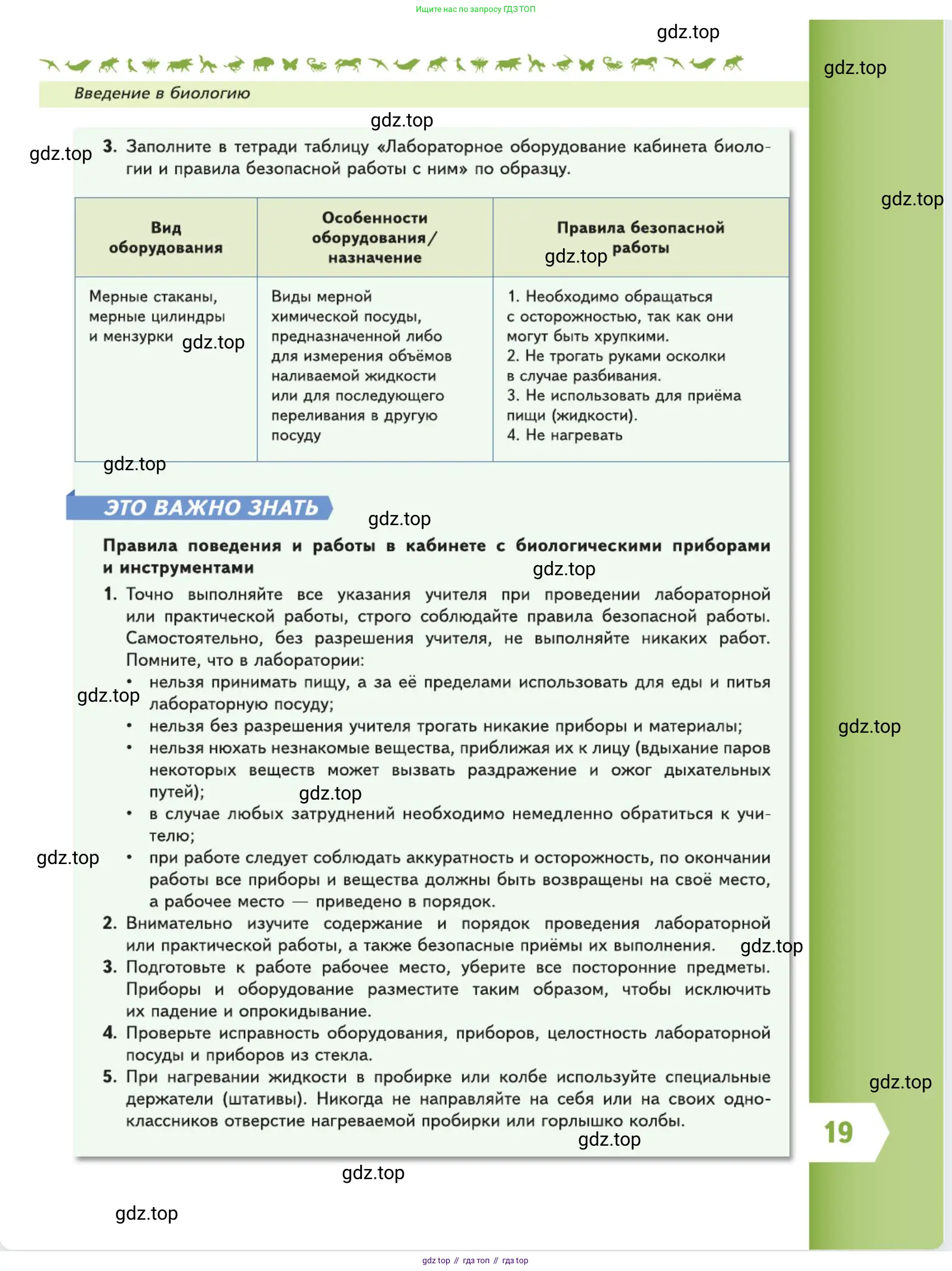 Биология, 5 класс Учебник, авторы: Пасечник Владимир Васильевич, Суматохин Сергей Витальевич, Гапонюк Зоя Георгиевна, Швецов Глеб Геннадьевич, издательство Просвещение, Москва, 2023, белого цвета, страница 19