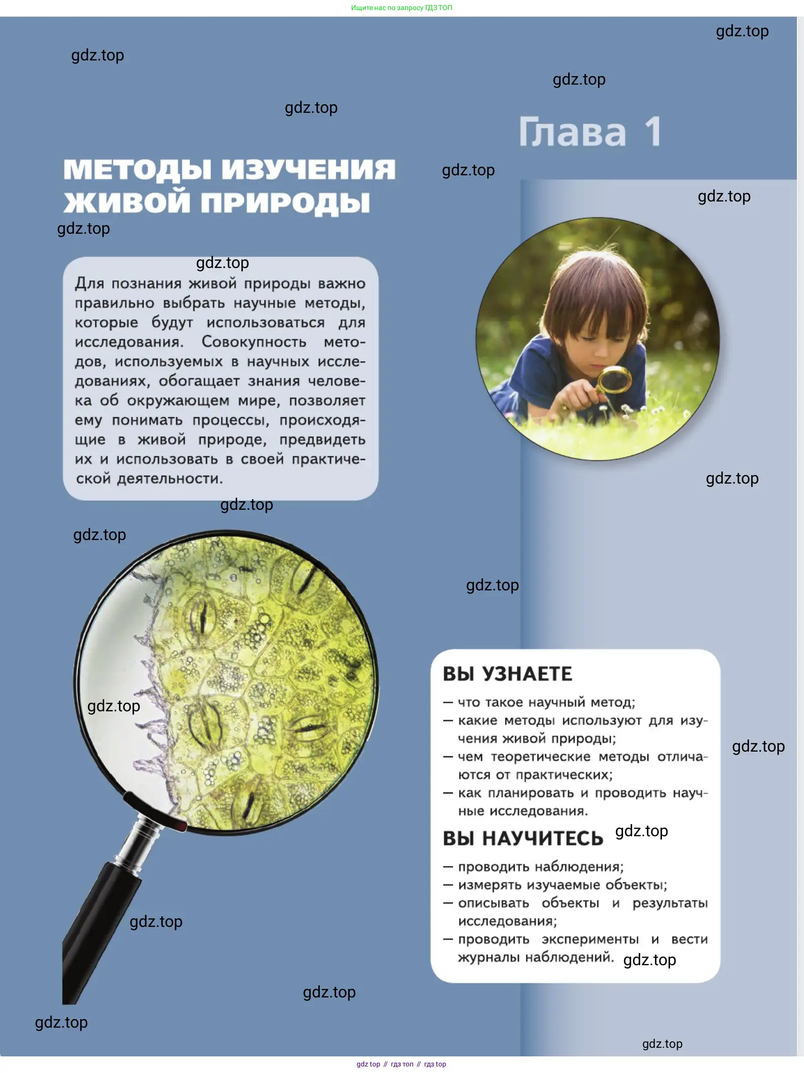 Биология, 5 класс Учебник, авторы: Пасечник Владимир Васильевич, Суматохин Сергей Витальевич, Гапонюк Зоя Георгиевна, Швецов Глеб Геннадьевич, издательство Просвещение, Москва, 2023, белого цвета, страница 27
