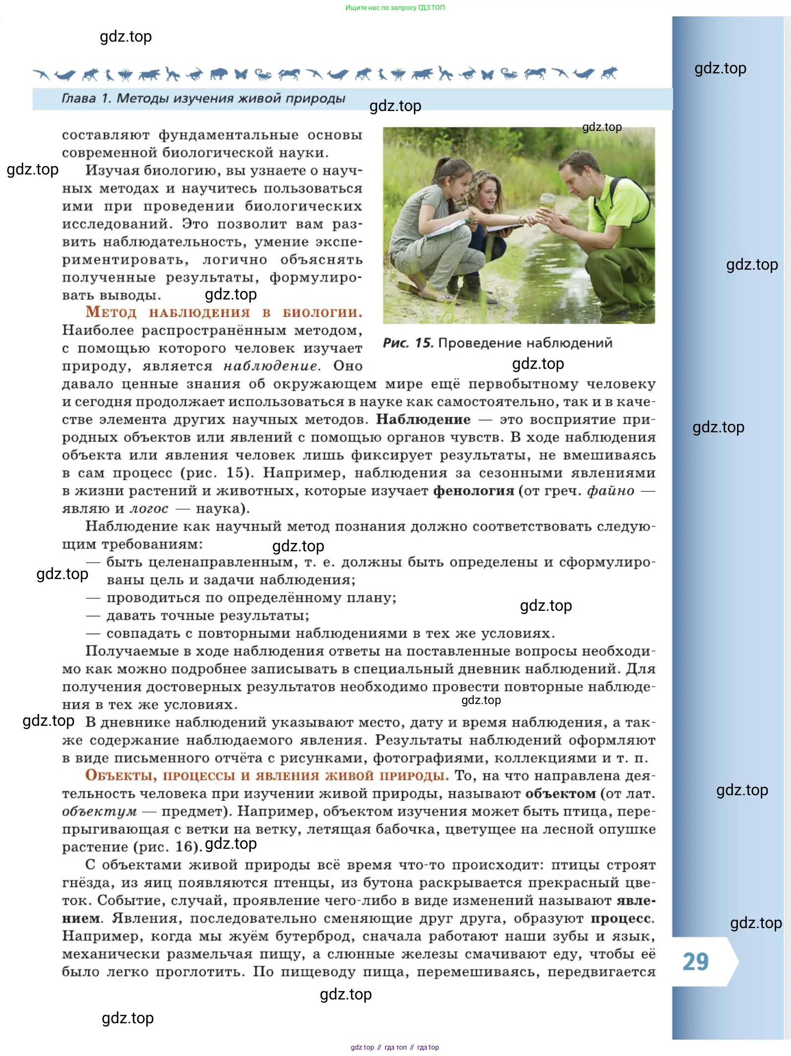 Биология, 5 класс Учебник, авторы: Пасечник Владимир Васильевич, Суматохин Сергей Витальевич, Гапонюк Зоя Георгиевна, Швецов Глеб Геннадьевич, издательство Просвещение, Москва, 2023, белого цвета, страница 29