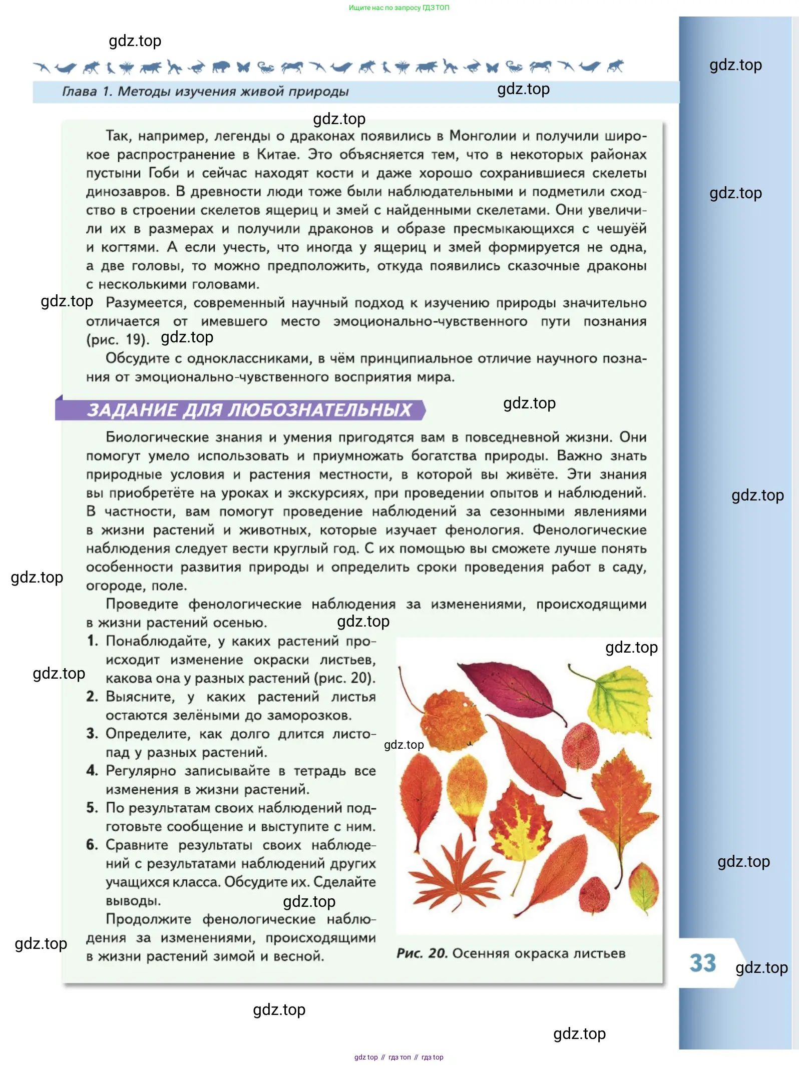 Биология, 5 класс Учебник, авторы: Пасечник Владимир Васильевич, Суматохин Сергей Витальевич, Гапонюк Зоя Георгиевна, Швецов Глеб Геннадьевич, издательство Просвещение, Москва, 2023, белого цвета, страница 33