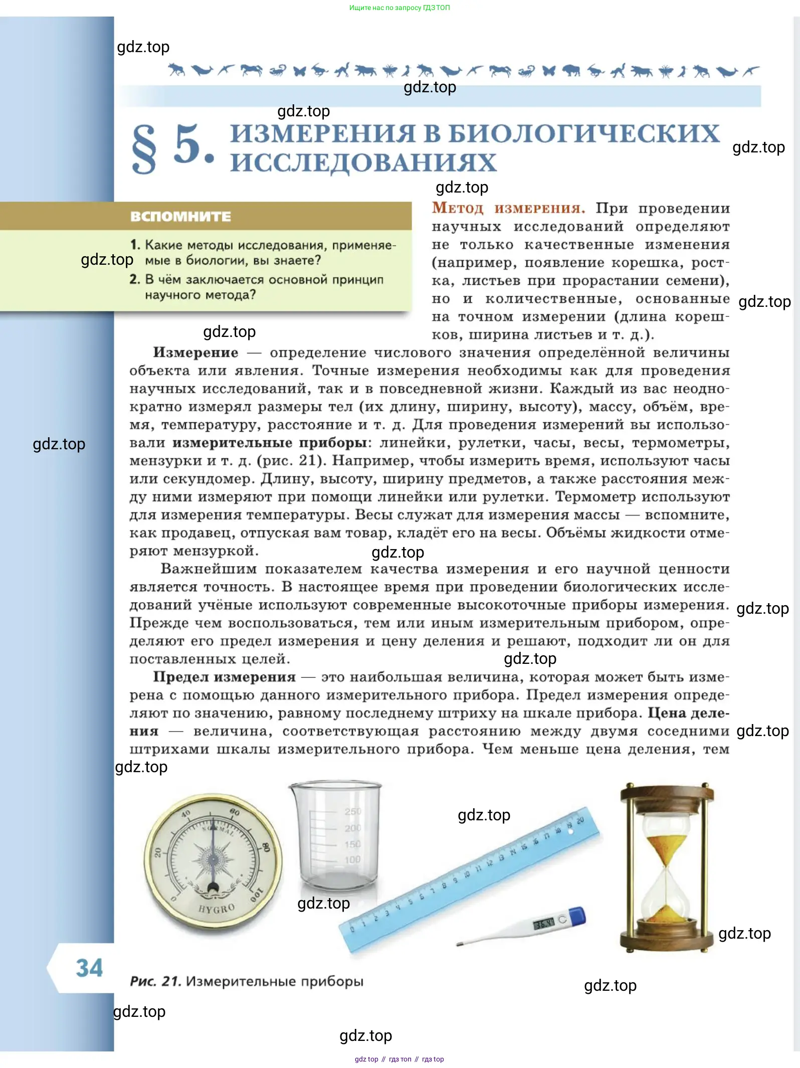 Биология, 5 класс Учебник, авторы: Пасечник Владимир Васильевич, Суматохин Сергей Витальевич, Гапонюк Зоя Георгиевна, Швецов Глеб Геннадьевич, издательство Просвещение, Москва, 2023, белого цвета, страница 34