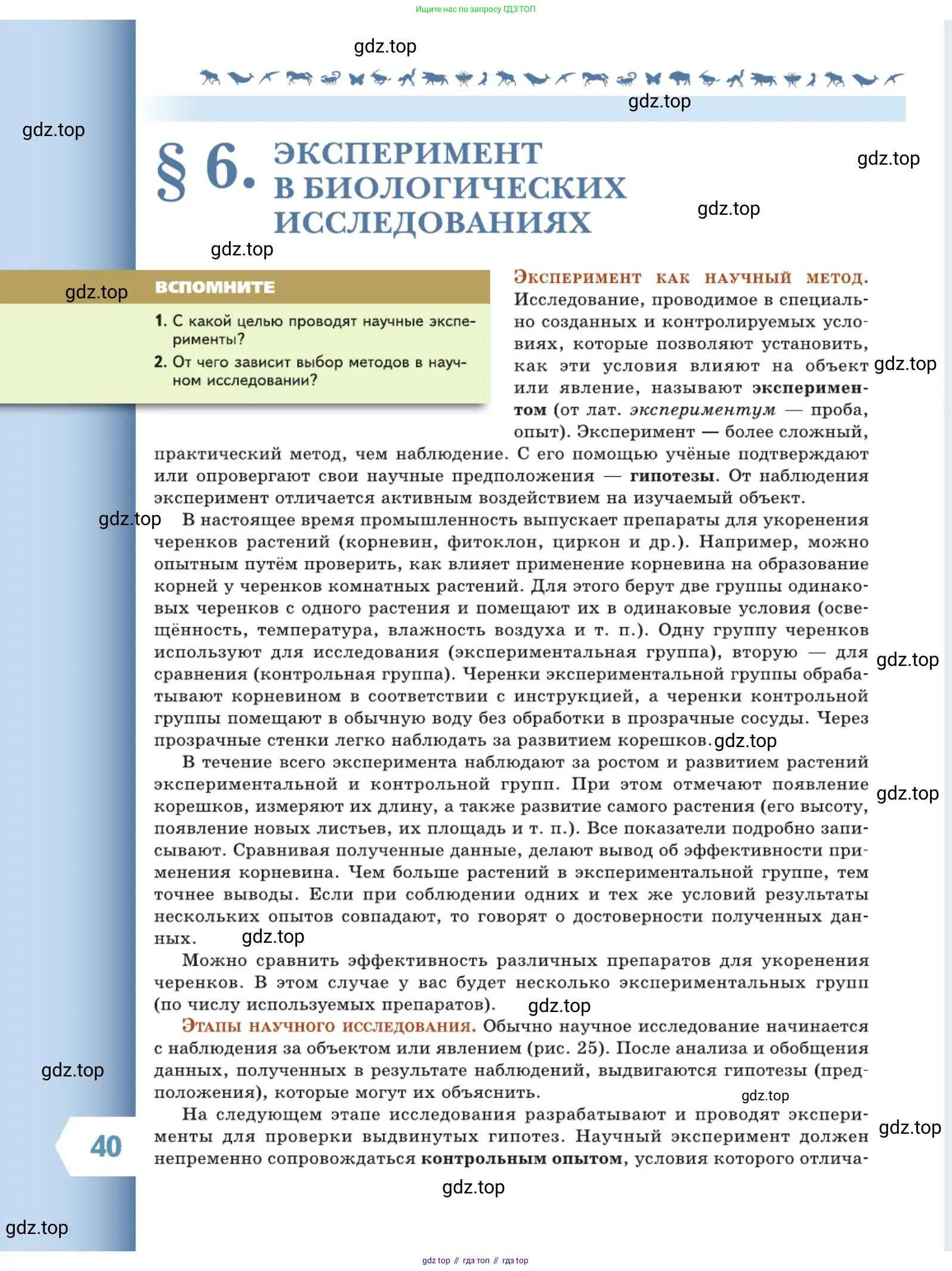 Биология, 5 класс Учебник, авторы: Пасечник Владимир Васильевич, Суматохин Сергей Витальевич, Гапонюк Зоя Георгиевна, Швецов Глеб Геннадьевич, издательство Просвещение, Москва, 2023, белого цвета, страница 40