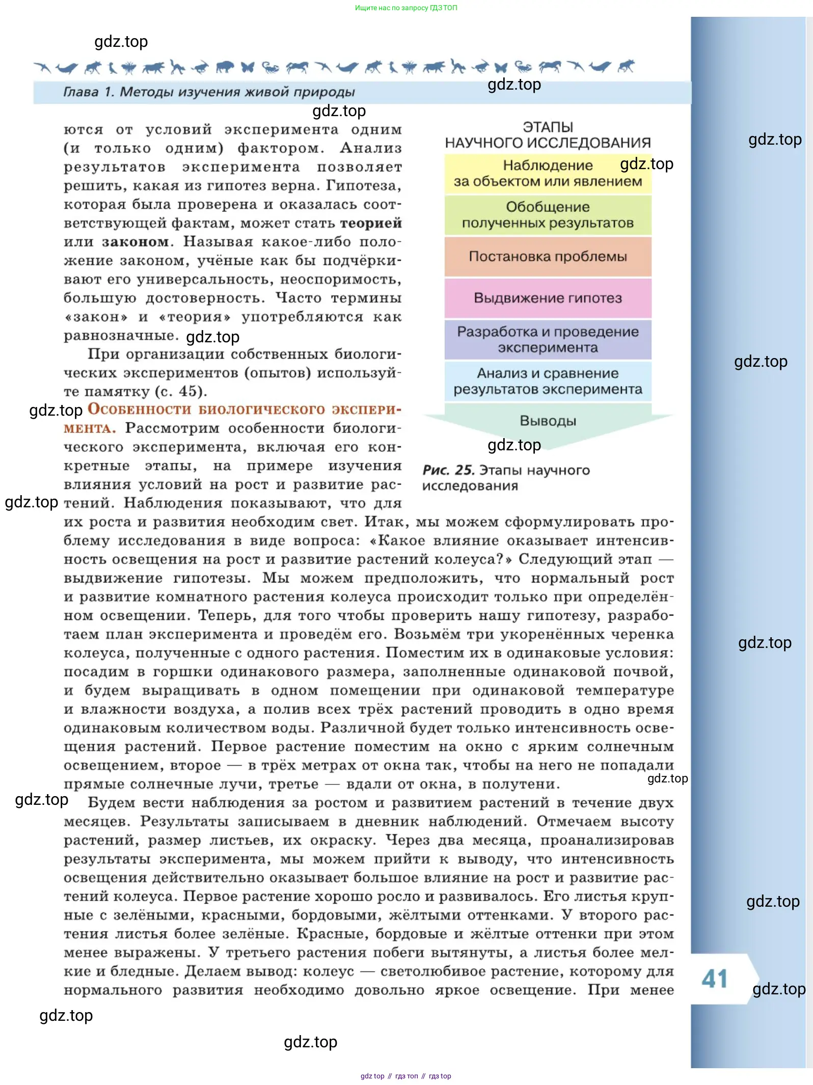 Биология, 5 класс Учебник, авторы: Пасечник Владимир Васильевич, Суматохин Сергей Витальевич, Гапонюк Зоя Георгиевна, Швецов Глеб Геннадьевич, издательство Просвещение, Москва, 2023, белого цвета, страница 41