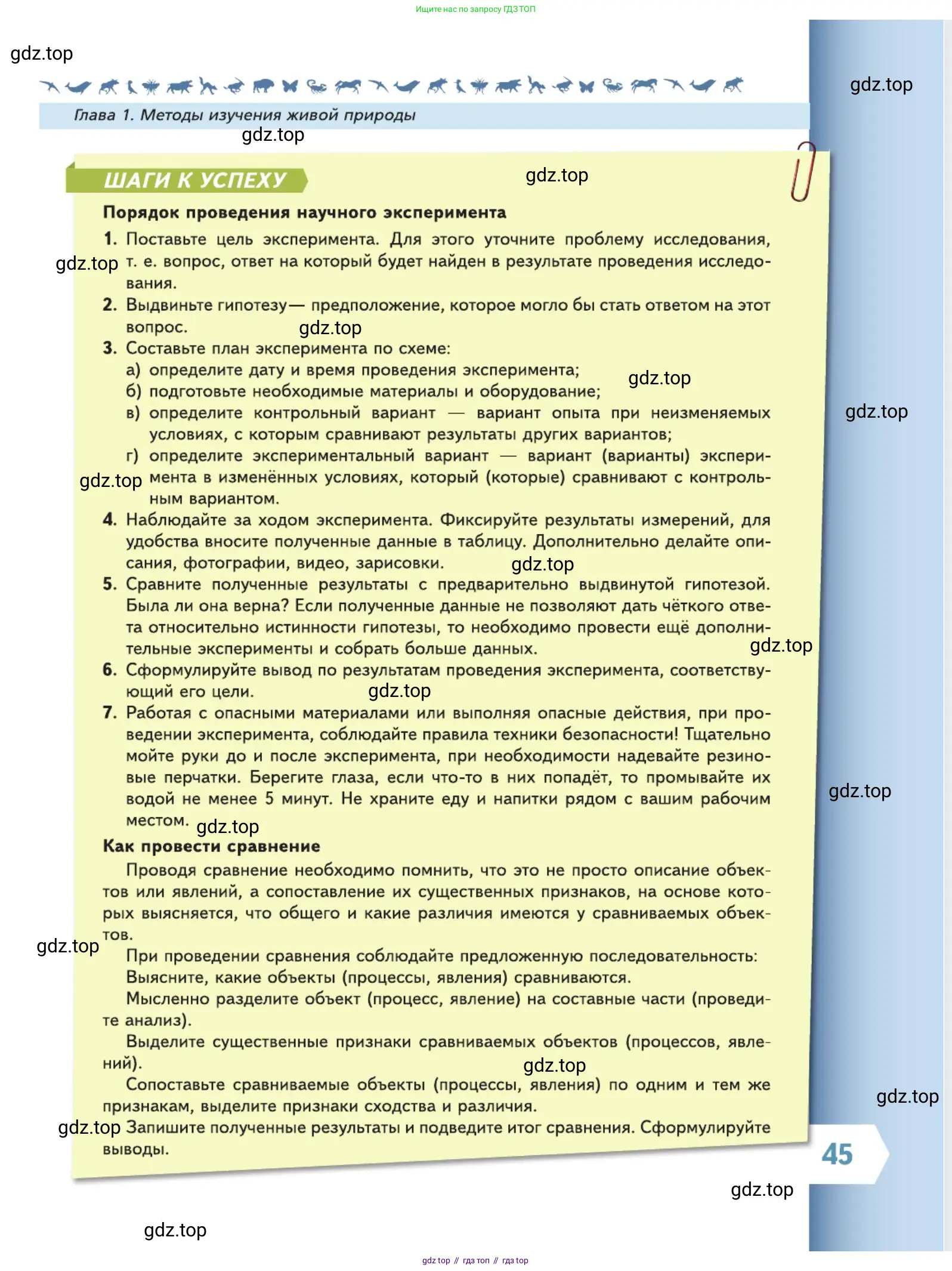Биология, 5 класс Учебник, авторы: Пасечник Владимир Васильевич, Суматохин Сергей Витальевич, Гапонюк Зоя Георгиевна, Швецов Глеб Геннадьевич, издательство Просвещение, Москва, 2023, белого цвета, страница 45