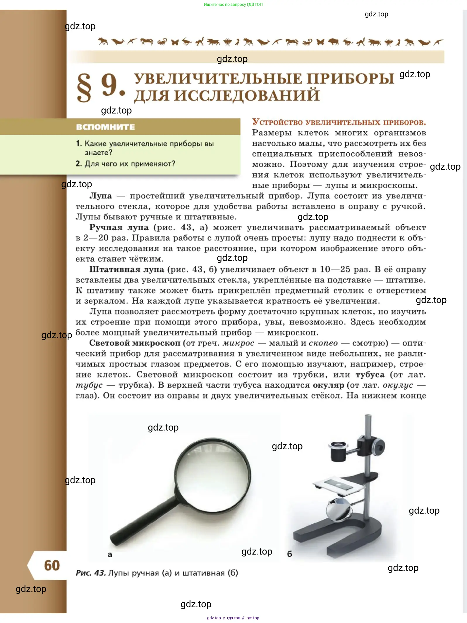 Биология, 5 класс Учебник, авторы: Пасечник Владимир Васильевич, Суматохин Сергей Витальевич, Гапонюк Зоя Георгиевна, Швецов Глеб Геннадьевич, издательство Просвещение, Москва, 2023, белого цвета, страница 60