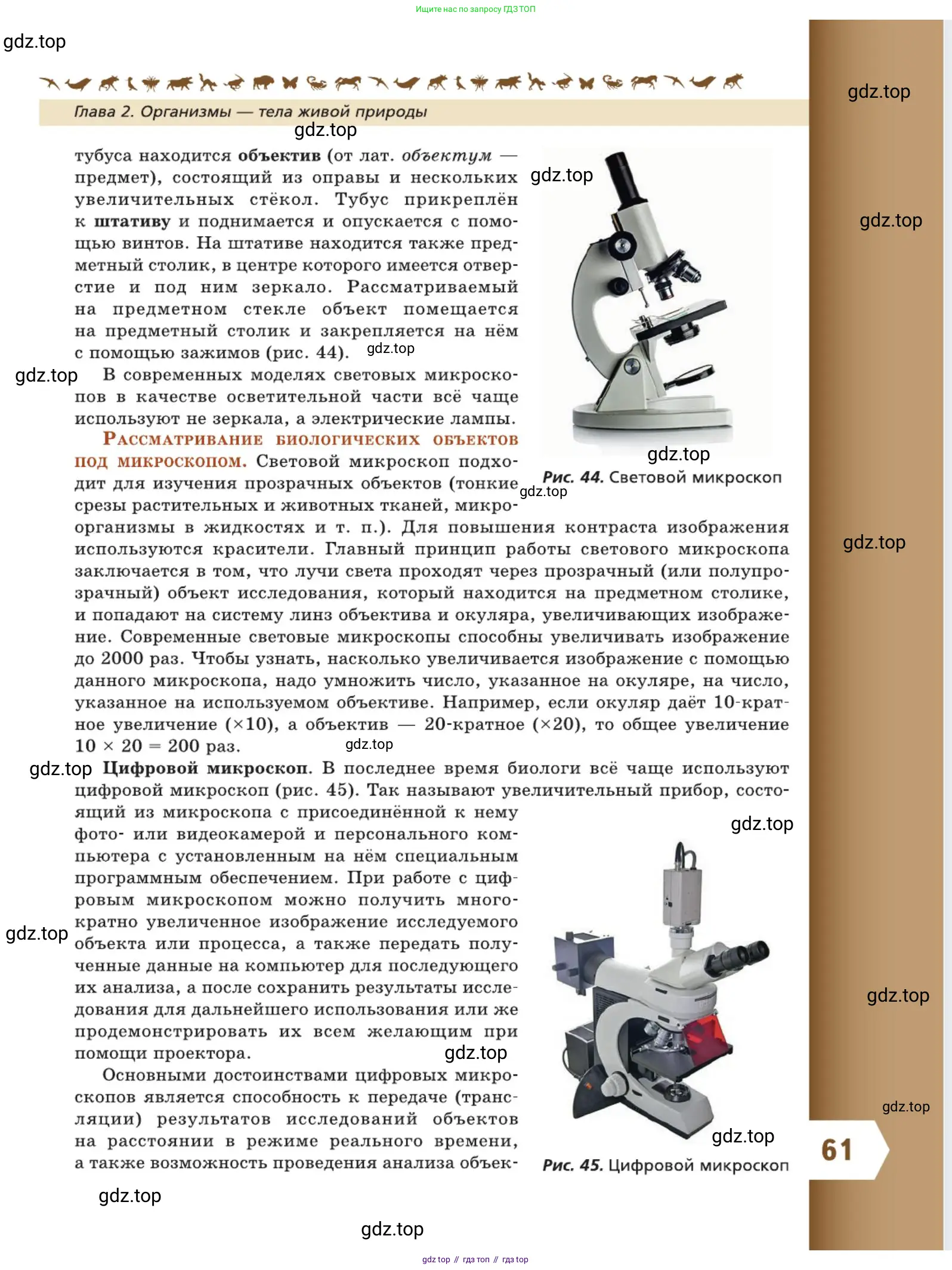 Биология, 5 класс Учебник, авторы: Пасечник Владимир Васильевич, Суматохин Сергей Витальевич, Гапонюк Зоя Георгиевна, Швецов Глеб Геннадьевич, издательство Просвещение, Москва, 2023, белого цвета, страница 61