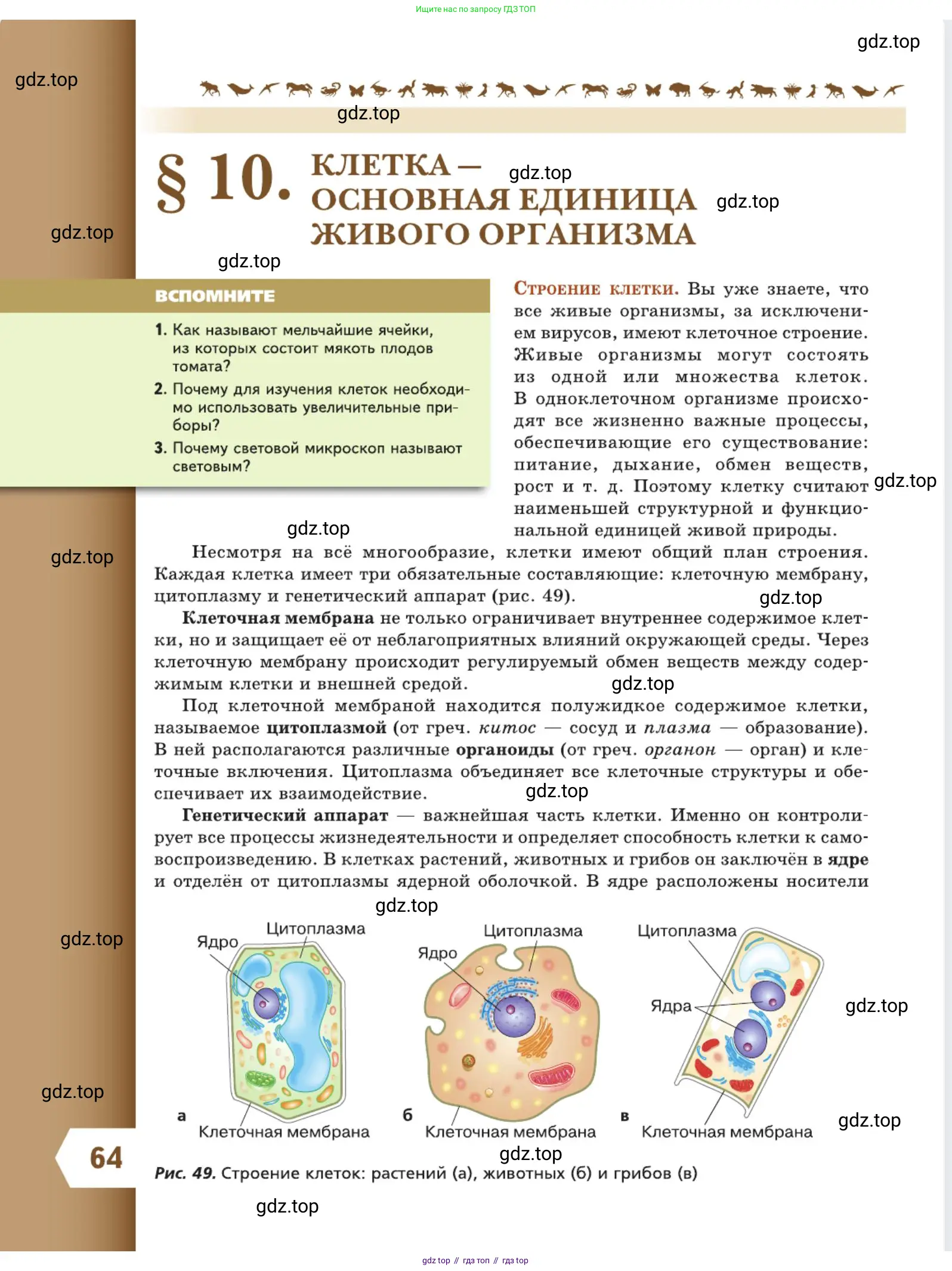 Биология, 5 класс Учебник, авторы: Пасечник Владимир Васильевич, Суматохин Сергей Витальевич, Гапонюк Зоя Георгиевна, Швецов Глеб Геннадьевич, издательство Просвещение, Москва, 2023, белого цвета, страница 64