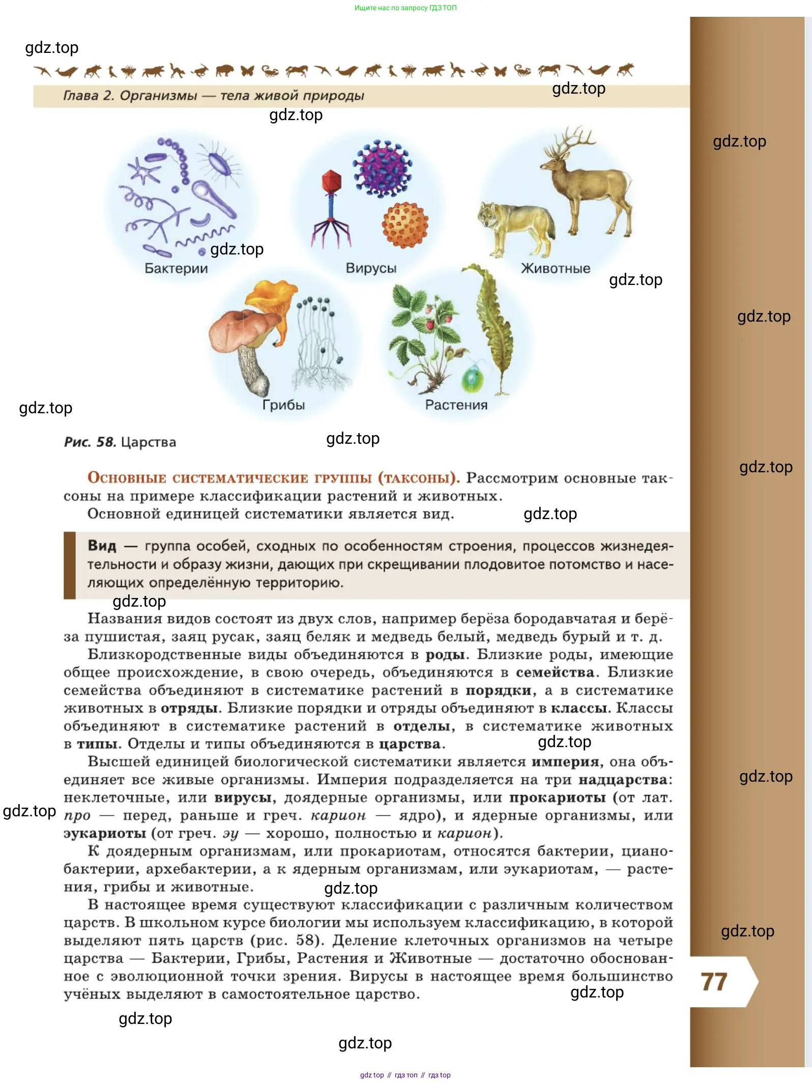 Биология, 5 класс Учебник, авторы: Пасечник Владимир Васильевич, Суматохин Сергей Витальевич, Гапонюк Зоя Георгиевна, Швецов Глеб Геннадьевич, издательство Просвещение, Москва, 2023, белого цвета, страница 77