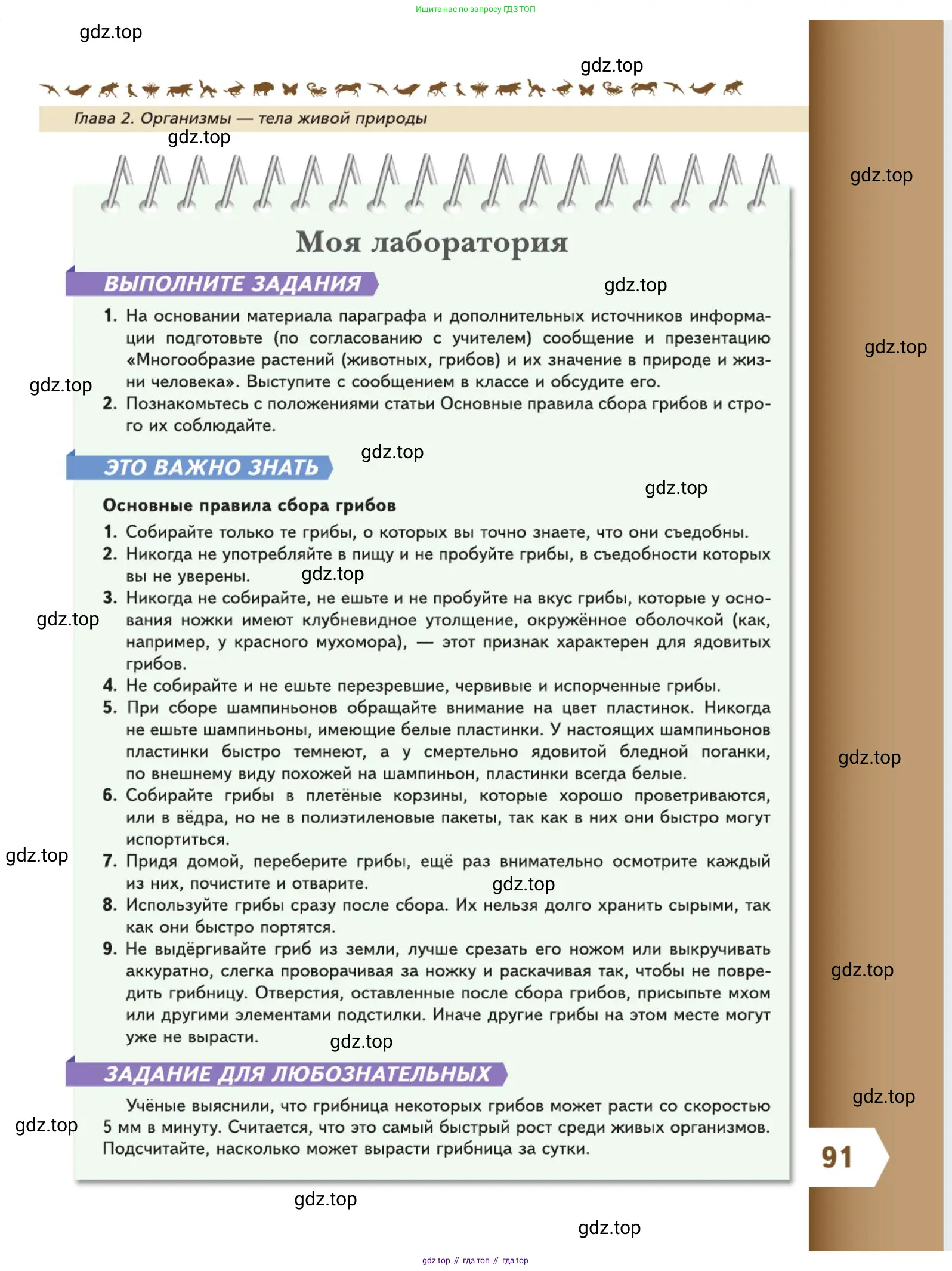 Биология, 5 класс Учебник, авторы: Пасечник Владимир Васильевич, Суматохин Сергей Витальевич, Гапонюк Зоя Георгиевна, Швецов Глеб Геннадьевич, издательство Просвещение, Москва, 2023, белого цвета, страница 91