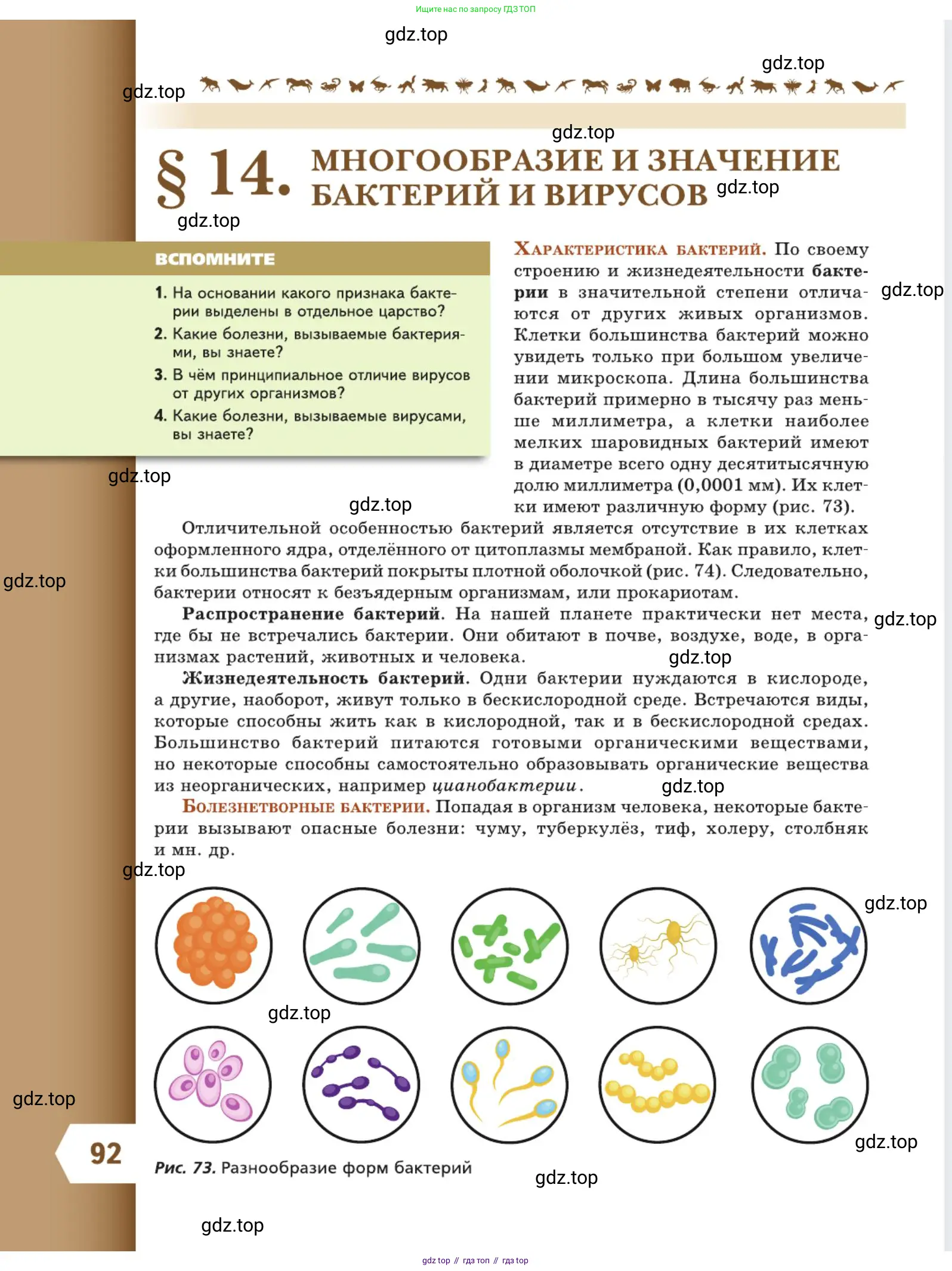 Биология, 5 класс Учебник, авторы: Пасечник Владимир Васильевич, Суматохин Сергей Витальевич, Гапонюк Зоя Георгиевна, Швецов Глеб Геннадьевич, издательство Просвещение, Москва, 2023, белого цвета, страница 92