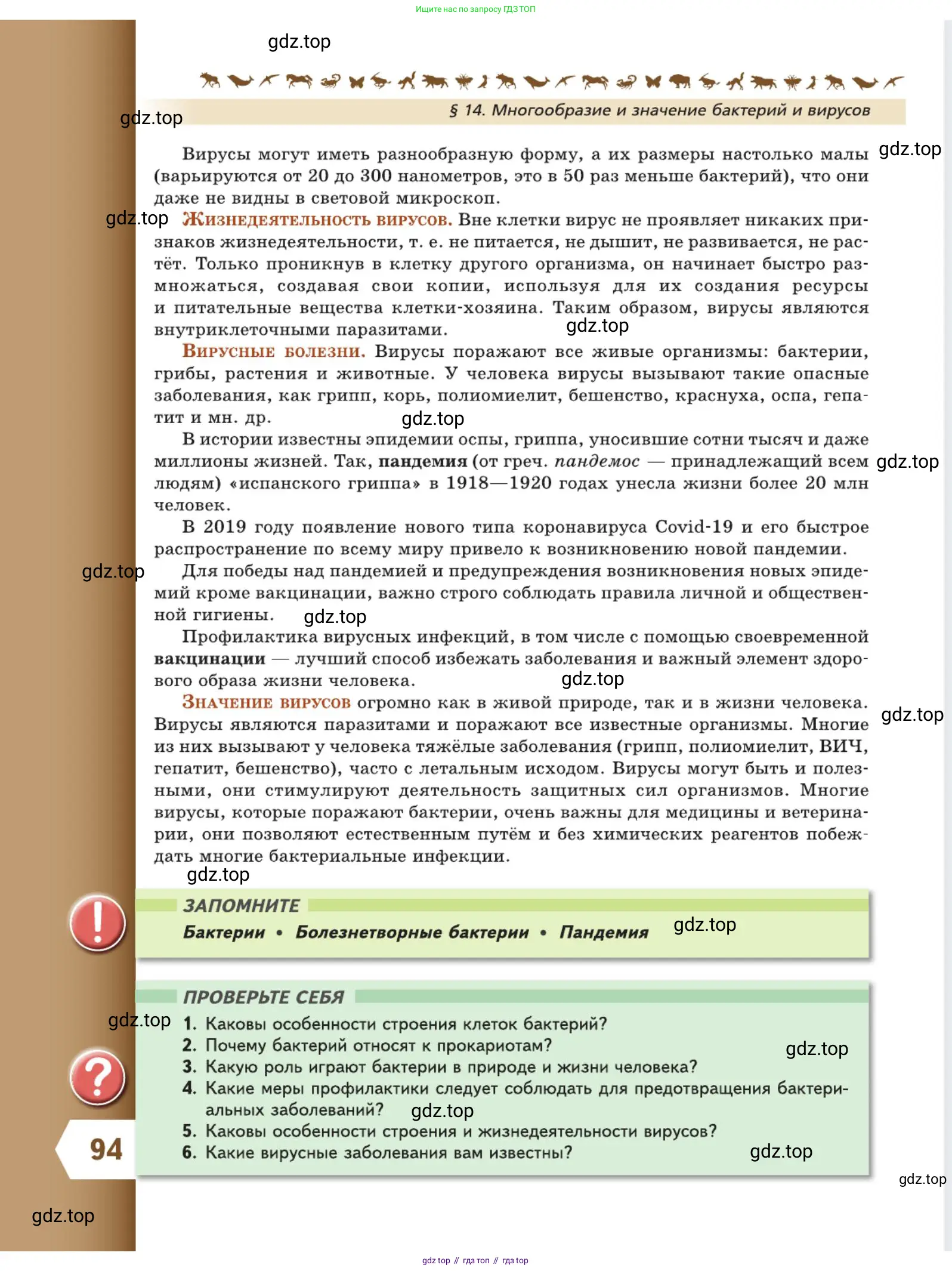 Биология, 5 класс Учебник, авторы: Пасечник Владимир Васильевич, Суматохин Сергей Витальевич, Гапонюк Зоя Георгиевна, Швецов Глеб Геннадьевич, издательство Просвещение, Москва, 2023, белого цвета, страница 94