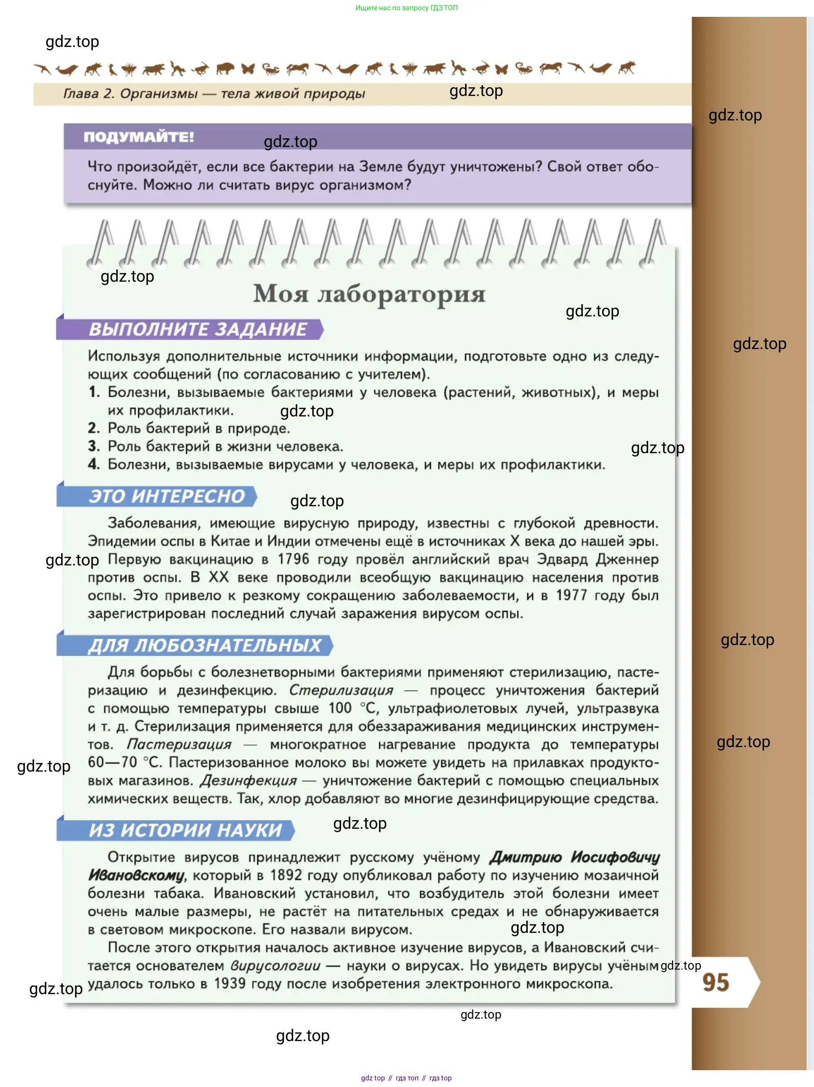 Биология, 5 класс Учебник, авторы: Пасечник Владимир Васильевич, Суматохин Сергей Витальевич, Гапонюк Зоя Георгиевна, Швецов Глеб Геннадьевич, издательство Просвещение, Москва, 2023, белого цвета, страница 95