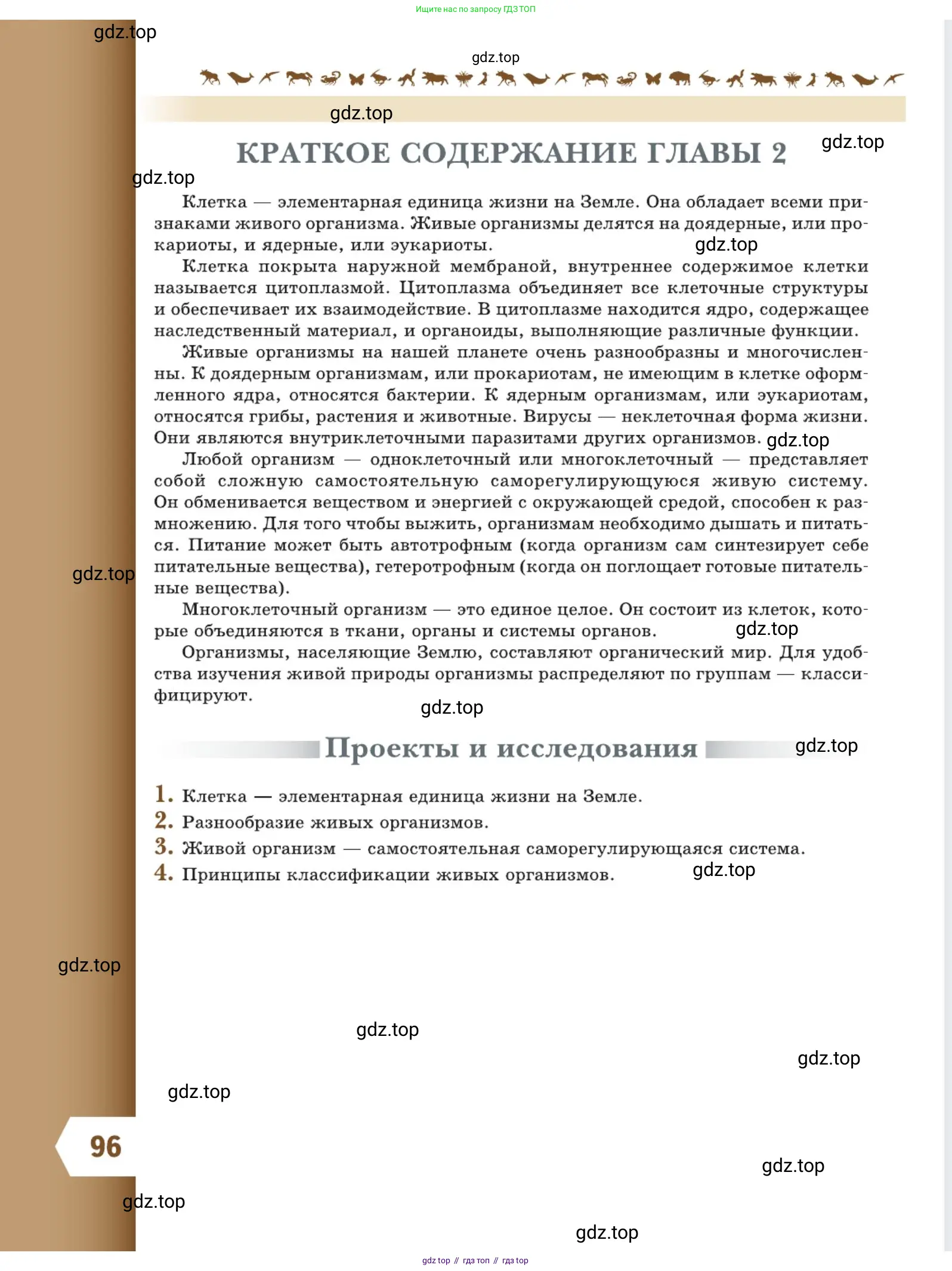 Биология, 5 класс Учебник, авторы: Пасечник Владимир Васильевич, Суматохин Сергей Витальевич, Гапонюк Зоя Георгиевна, Швецов Глеб Геннадьевич, издательство Просвещение, Москва, 2023, белого цвета, страница 96