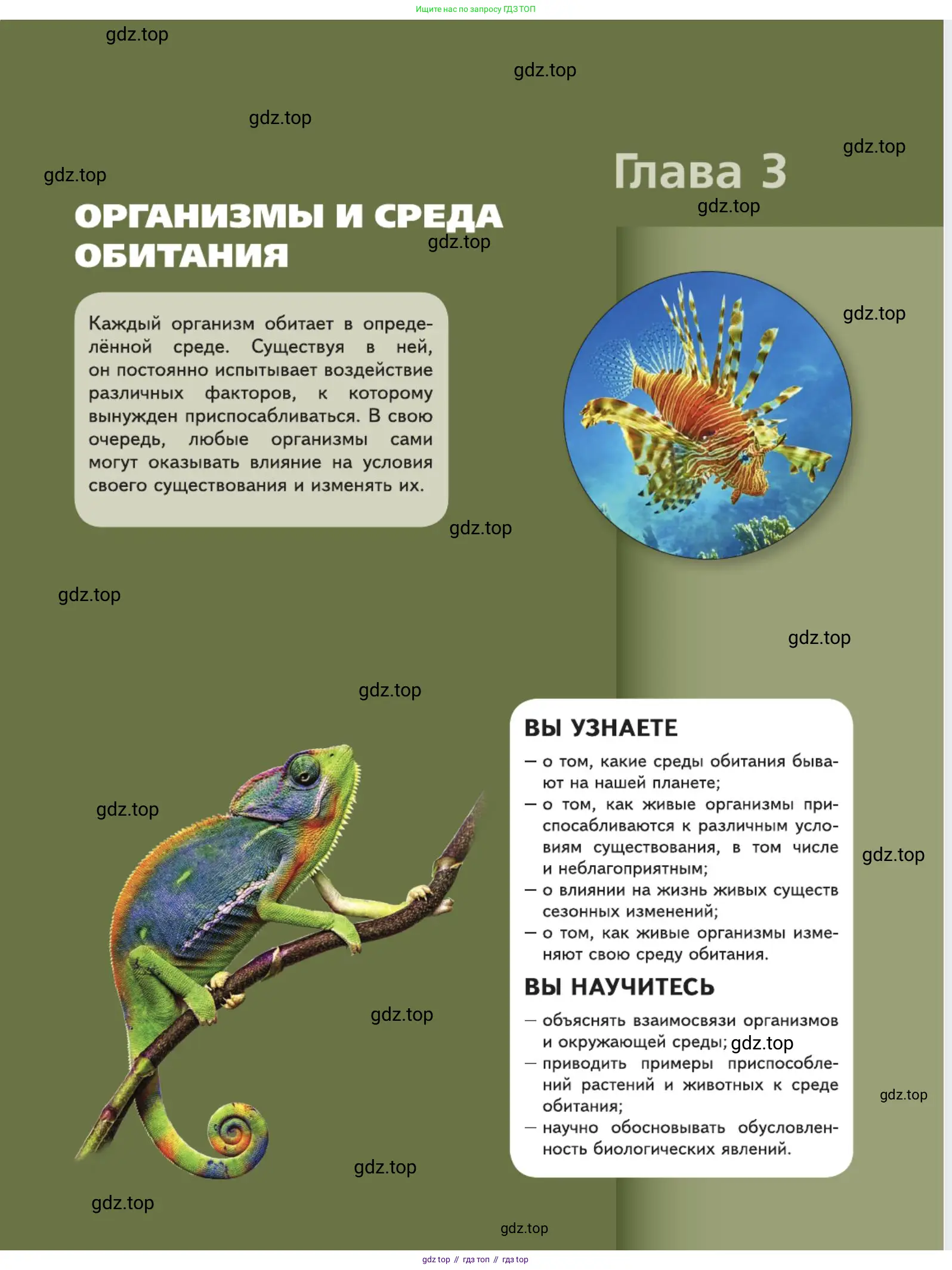 Биология, 5 класс Учебник, авторы: Пасечник Владимир Васильевич, Суматохин Сергей Витальевич, Гапонюк Зоя Георгиевна, Швецов Глеб Геннадьевич, издательство Просвещение, Москва, 2023, белого цвета, страница 97