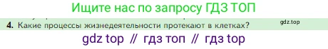 Биология, 5 класс Учебник, авторы: Пасечник Владимир Васильевич, Суматохин Сергей Витальевич, Гапонюк Зоя Георгиевна, Швецов Глеб Геннадьевич, издательство Просвещение, Москва, 2023, белого цвета, страница 67, номер 4, Условие