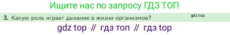 Биология, 5 класс Учебник, авторы: Пасечник Владимир Васильевич, Суматохин Сергей Витальевич, Гапонюк Зоя Георгиевна, Швецов Глеб Геннадьевич, издательство Просвещение, Москва, 2023, белого цвета, страница 73, номер 3, Условие