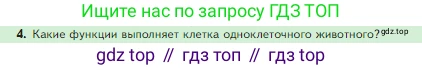 Биология, 5 класс Учебник, авторы: Пасечник Владимир Васильевич, Суматохин Сергей Витальевич, Гапонюк Зоя Георгиевна, Швецов Глеб Геннадьевич, издательство Просвещение, Москва, 2023, белого цвета, страница 90, номер 4, Условие