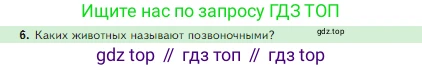 Биология, 5 класс Учебник, авторы: Пасечник Владимир Васильевич, Суматохин Сергей Витальевич, Гапонюк Зоя Георгиевна, Швецов Глеб Геннадьевич, издательство Просвещение, Москва, 2023, белого цвета, страница 90, номер 6, Условие