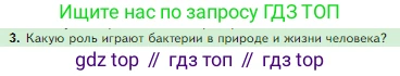 Биология, 5 класс Учебник, авторы: Пасечник Владимир Васильевич, Суматохин Сергей Витальевич, Гапонюк Зоя Георгиевна, Швецов Глеб Геннадьевич, издательство Просвещение, Москва, 2023, белого цвета, страница 94, номер 3, Условие