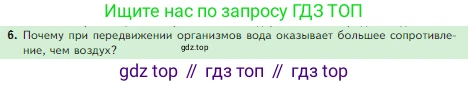 Биология, 5 класс Учебник, авторы: Пасечник Владимир Васильевич, Суматохин Сергей Витальевич, Гапонюк Зоя Георгиевна, Швецов Глеб Геннадьевич, издательство Просвещение, Москва, 2023, белого цвета, страница 106, номер 6, Условие