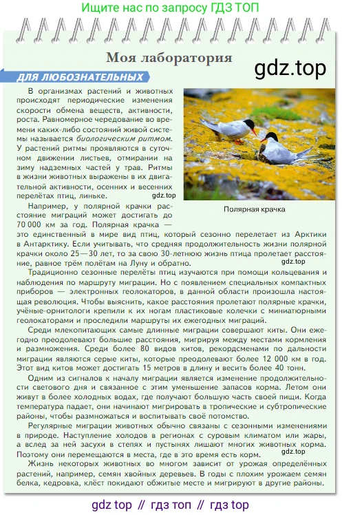 Биология, 5 класс Учебник, авторы: Пасечник Владимир Васильевич, Суматохин Сергей Витальевич, Гапонюк Зоя Георгиевна, Швецов Глеб Геннадьевич, издательство Просвещение, Москва, 2023, белого цвета, страница 113, Условие