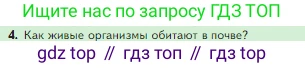 Биология, 5 класс Учебник, авторы: Пасечник Владимир Васильевич, Суматохин Сергей Витальевич, Гапонюк Зоя Георгиевна, Швецов Глеб Геннадьевич, издательство Просвещение, Москва, 2023, белого цвета, страница 117, номер 4, Условие