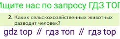Биология, 5 класс Учебник, авторы: Пасечник Владимир Васильевич, Суматохин Сергей Витальевич, Гапонюк Зоя Георгиевна, Швецов Глеб Геннадьевич, издательство Просвещение, Москва, 2023, белого цвета, страница 140, номер 2, Условие