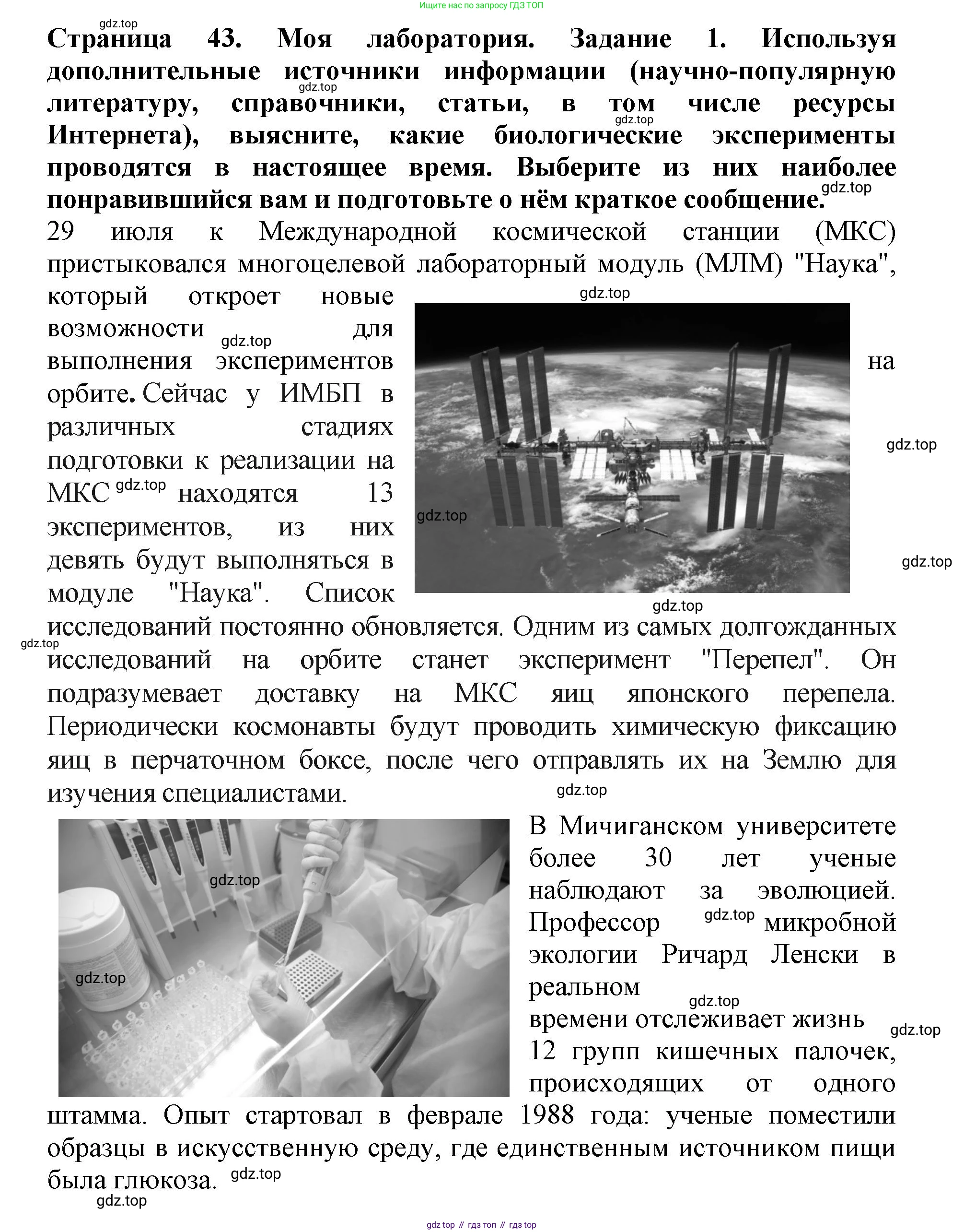 Биология, 5 класс Учебник, авторы: Пасечник Владимир Васильевич, Суматохин Сергей Витальевич, Гапонюк Зоя Георгиевна, Швецов Глеб Геннадьевич, издательство Просвещение, Москва, 2023, белого цвета, страница 43, Решение (продолжение 4)