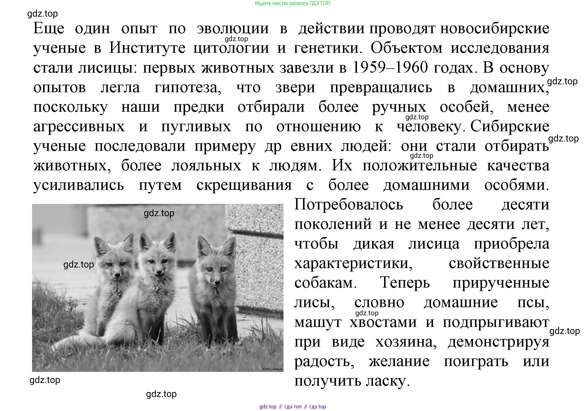 Биология, 5 класс Учебник, авторы: Пасечник Владимир Васильевич, Суматохин Сергей Витальевич, Гапонюк Зоя Георгиевна, Швецов Глеб Геннадьевич, издательство Просвещение, Москва, 2023, белого цвета, страница 43, Решение (продолжение 5)