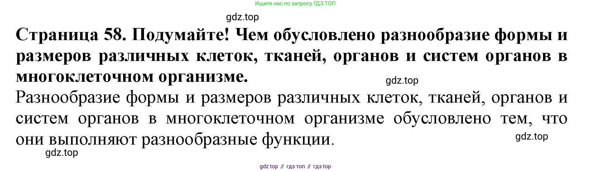 Биология, 5 класс Учебник, авторы: Пасечник Владимир Васильевич, Суматохин Сергей Витальевич, Гапонюк Зоя Георгиевна, Швецов Глеб Геннадьевич, издательство Просвещение, Москва, 2023, белого цвета, страница 58, Решение