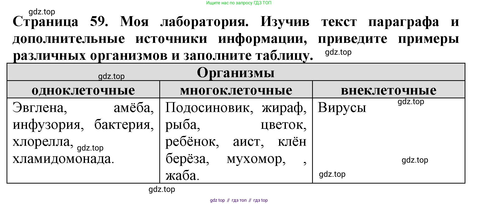Биология, 5 класс Учебник, авторы: Пасечник Владимир Васильевич, Суматохин Сергей Витальевич, Гапонюк Зоя Георгиевна, Швецов Глеб Геннадьевич, издательство Просвещение, Москва, 2023, белого цвета, страница 59, Решение