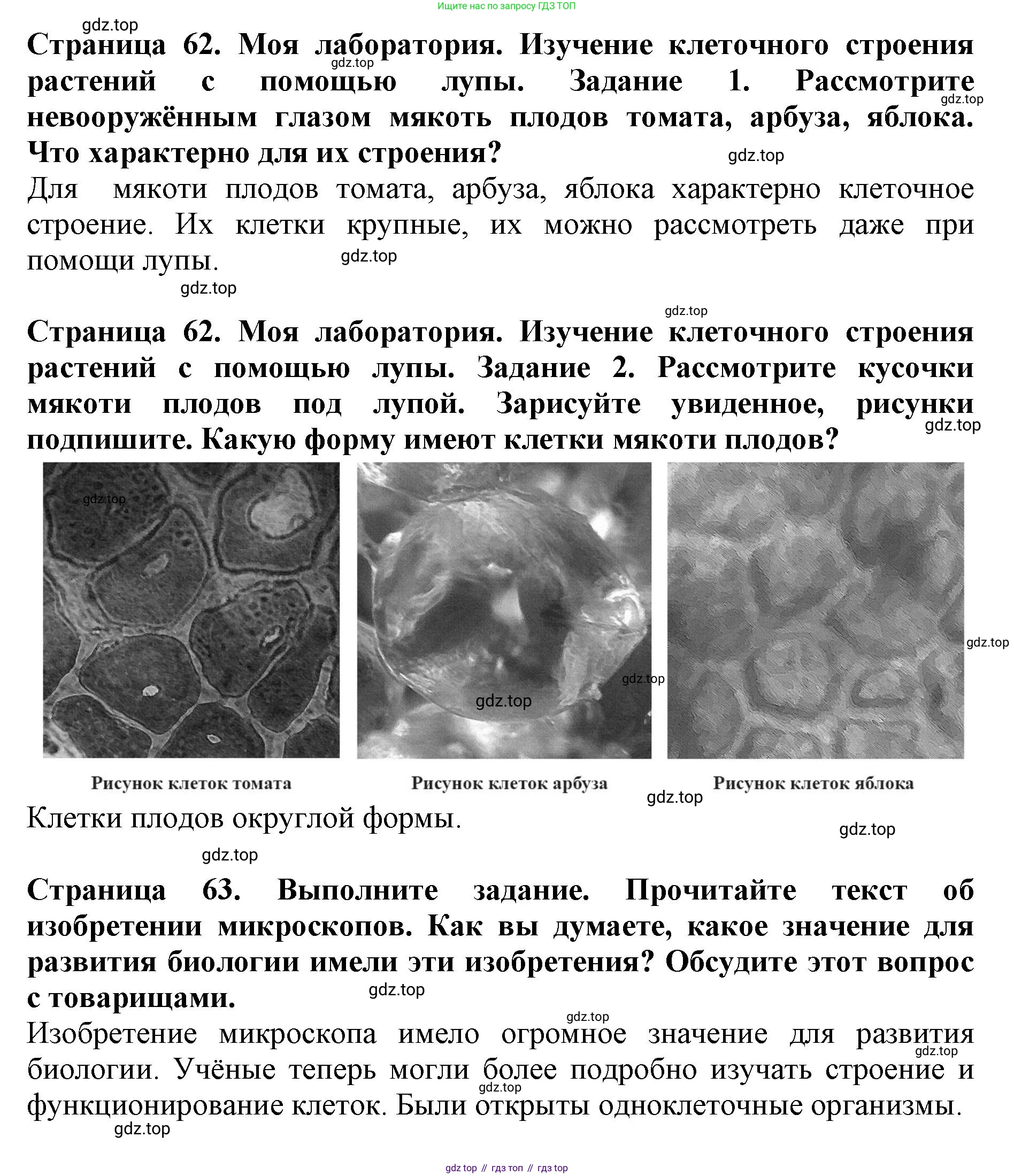Биология, 5 класс Учебник, авторы: Пасечник Владимир Васильевич, Суматохин Сергей Витальевич, Гапонюк Зоя Георгиевна, Швецов Глеб Геннадьевич, издательство Просвещение, Москва, 2023, белого цвета, страница 62, Решение