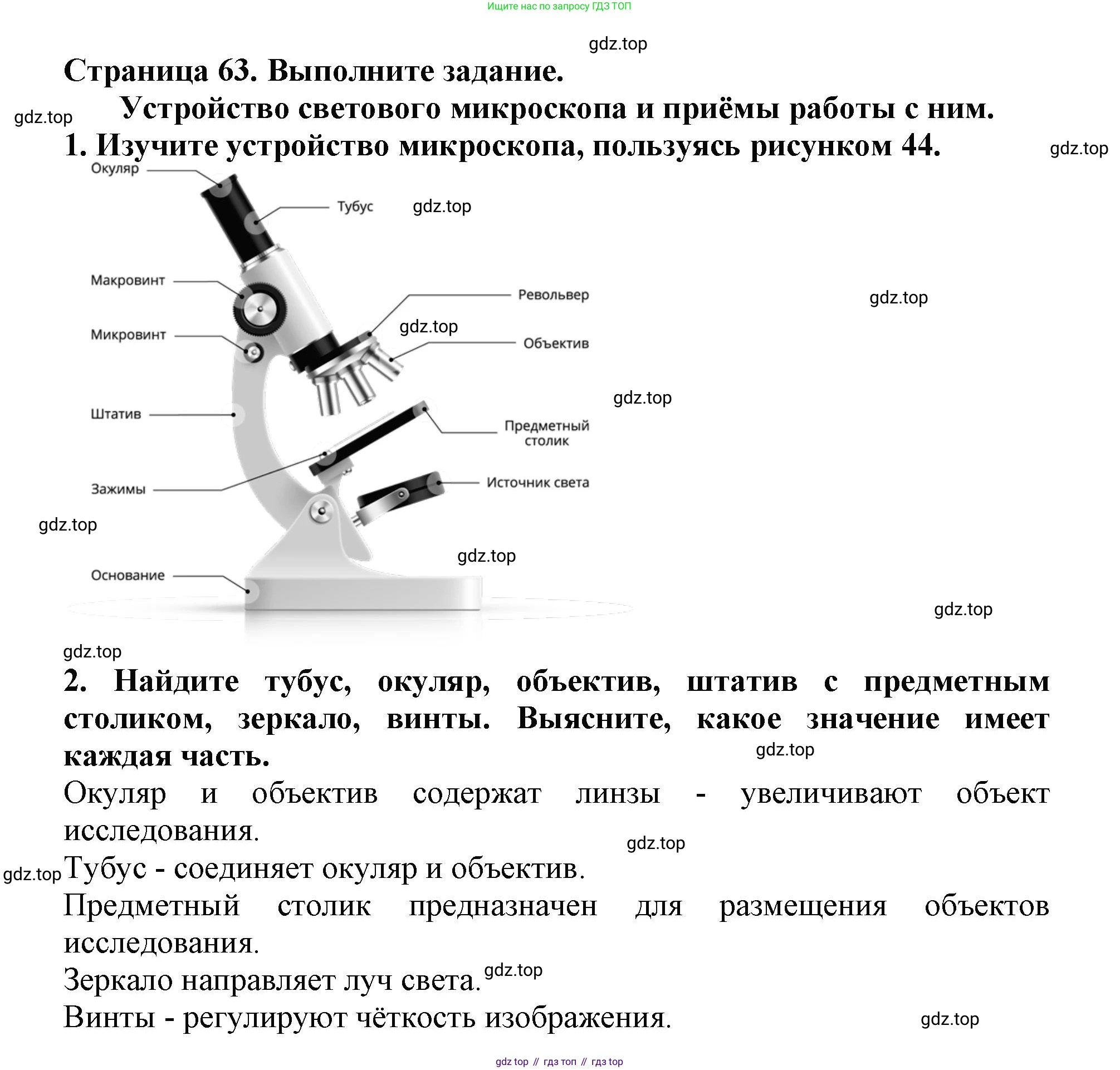 Биология, 5 класс Учебник, авторы: Пасечник Владимир Васильевич, Суматохин Сергей Витальевич, Гапонюк Зоя Георгиевна, Швецов Глеб Геннадьевич, издательство Просвещение, Москва, 2023, белого цвета, страница 62, Решение (продолжение 2)